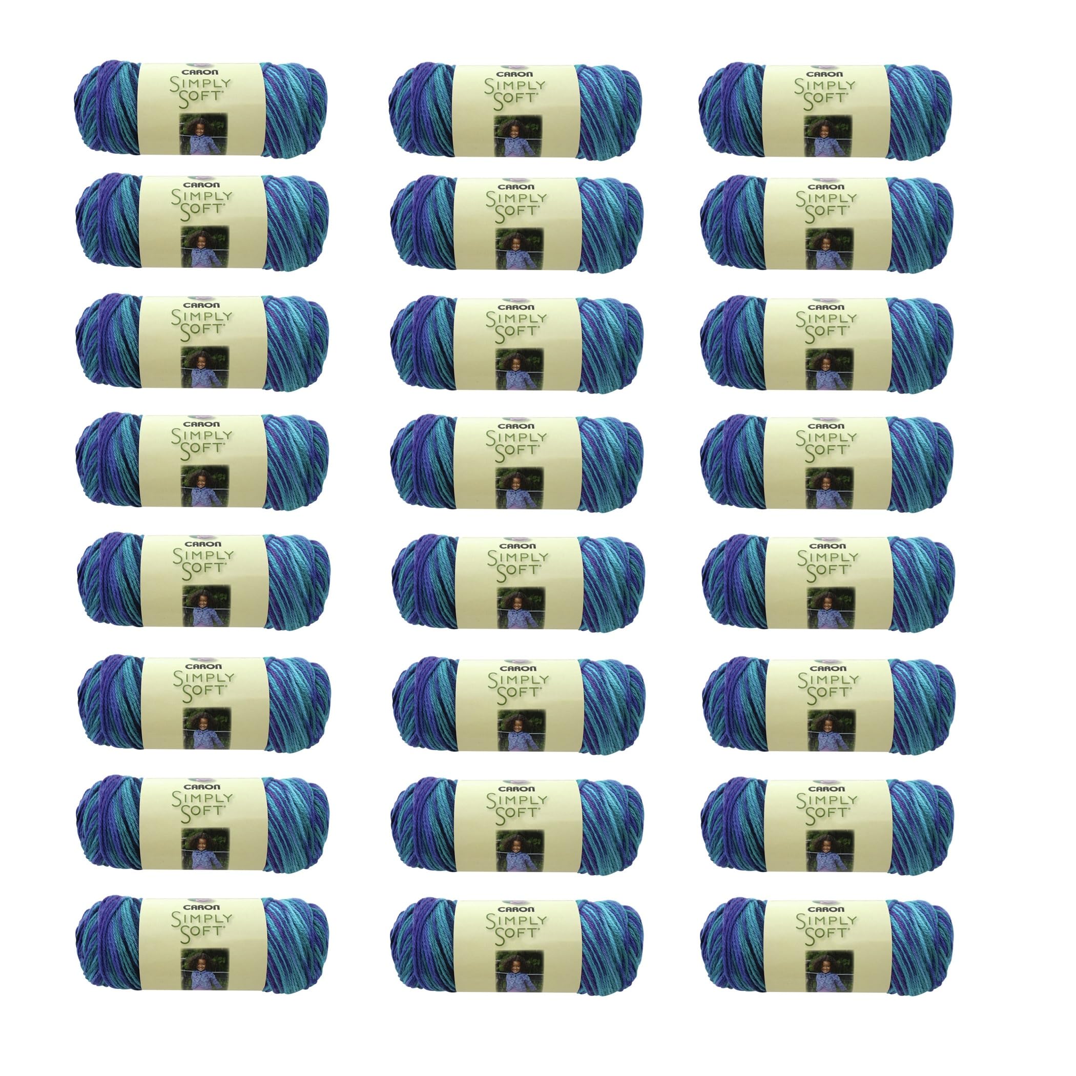 Caron Oceana, Simply Soft Paints Yarn, Multipack of 12, 12 Pack