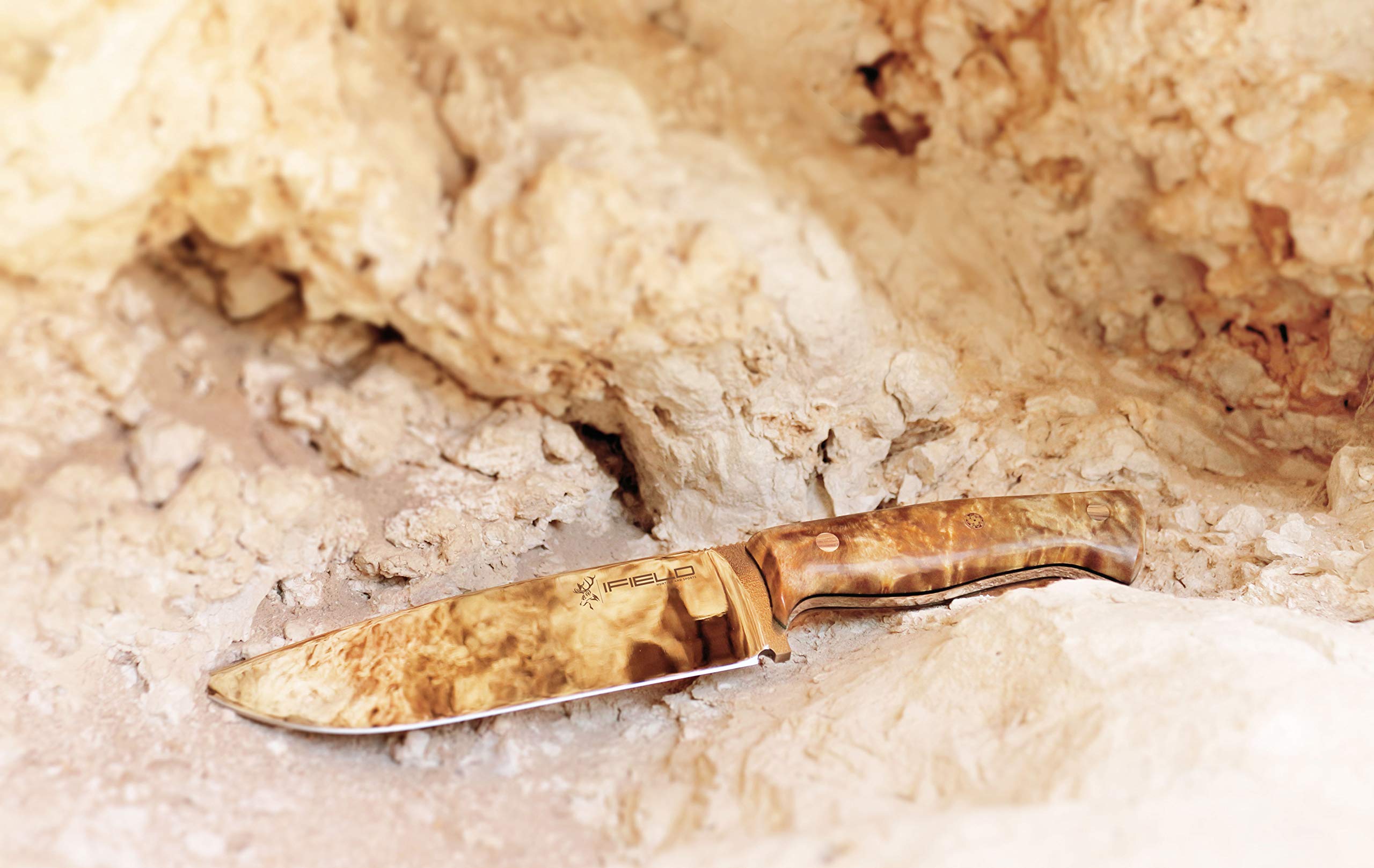 iFIELD EL29008 Coltello multifunzionale per escursioni, caccia e sopravvivenza all'aperto, manico in radice di pioppo in finitura lucida con distanziatore nero, fodero multiposizione