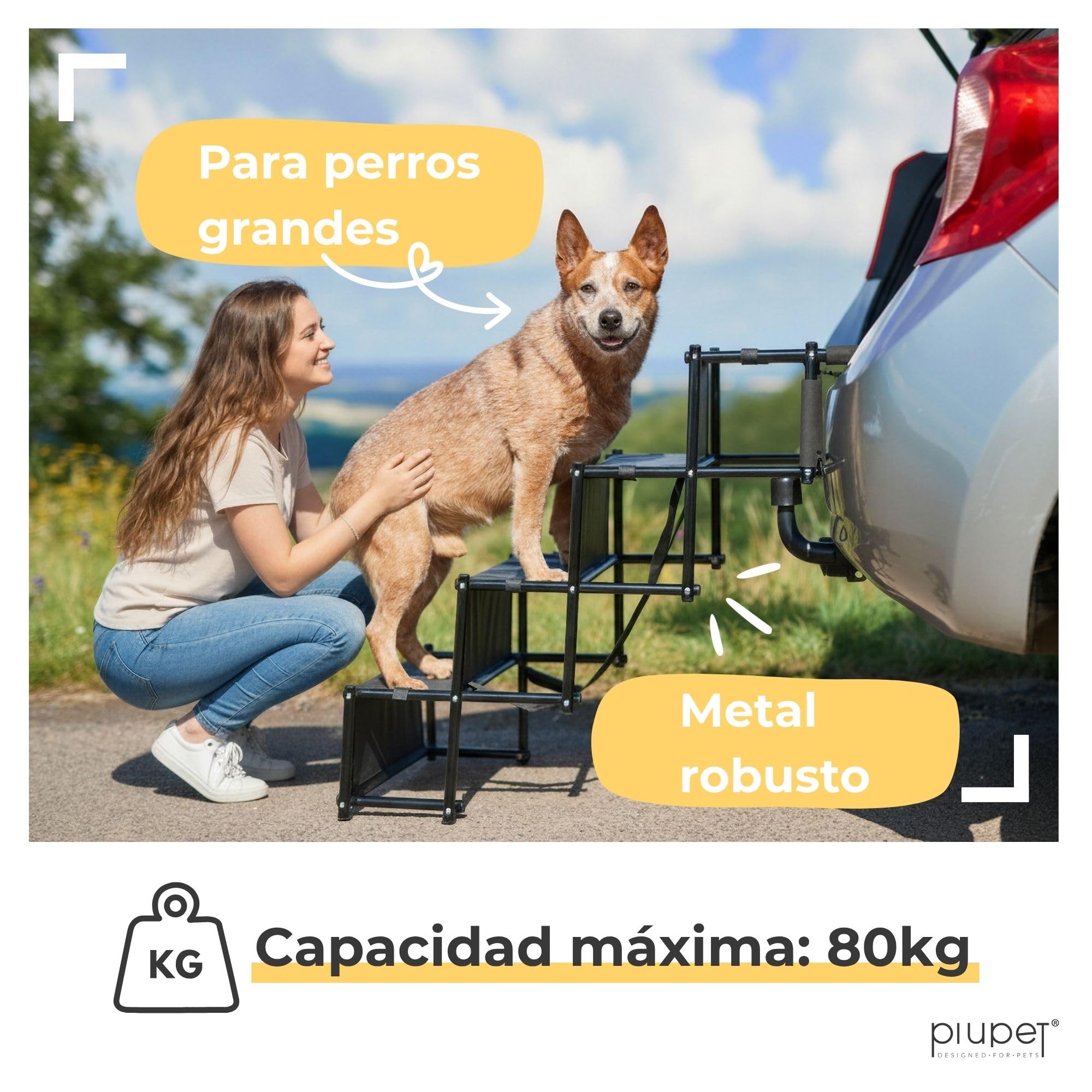 PiuPet® Rampa para Perros I hasta 80kg Cargable I Utilizable para Todos los vehículos I Escalera para Perros Plegables | Escalones para Mascotas | Rampa Coche