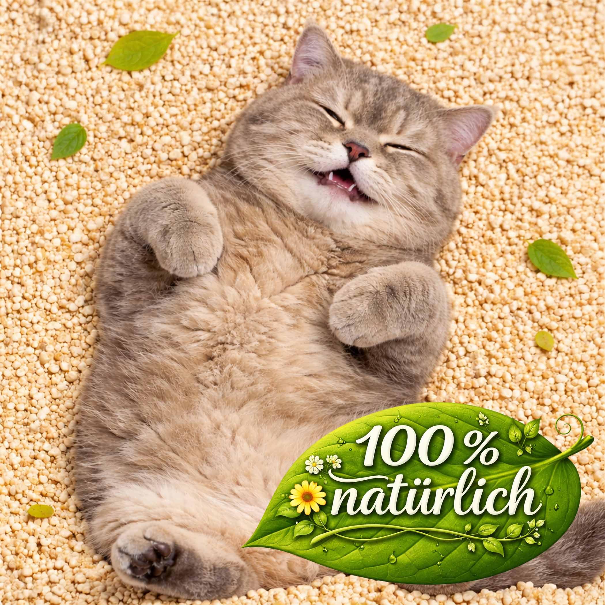 GreenCat Naturklumpstreu Katzenstreu 8X 12L (96L)