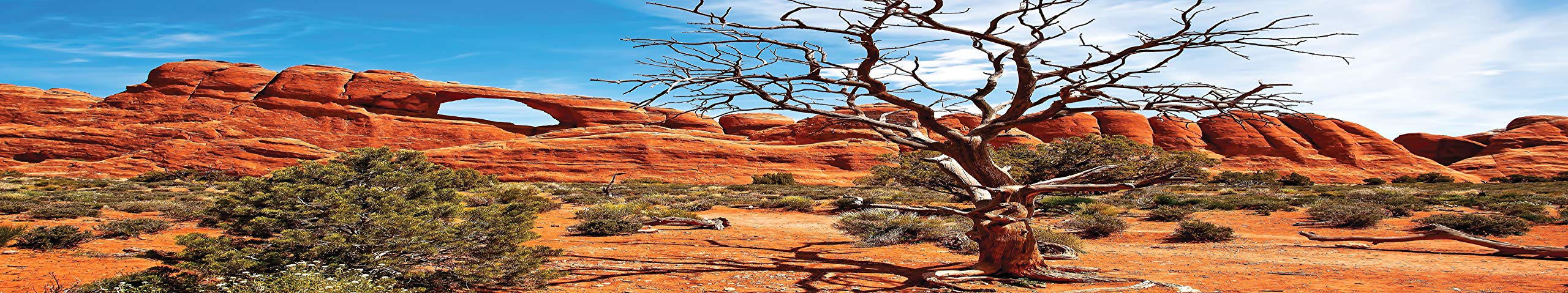 Reptile Habitat Background; Arch with Tree for 20L, 3-Sided Wraparound