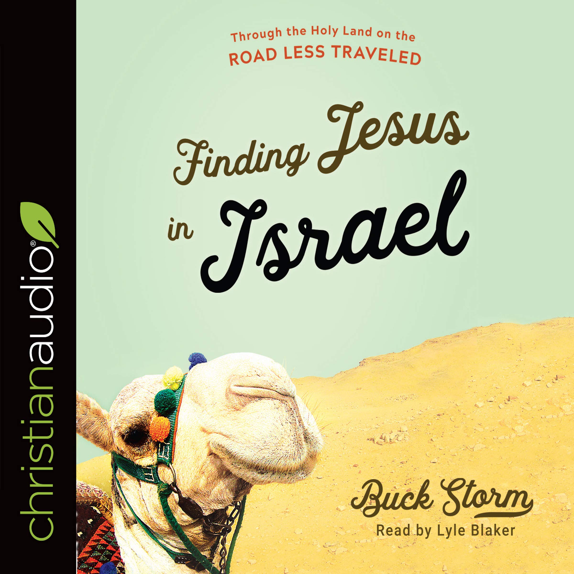 Cover art for Finding Jesus in Israel