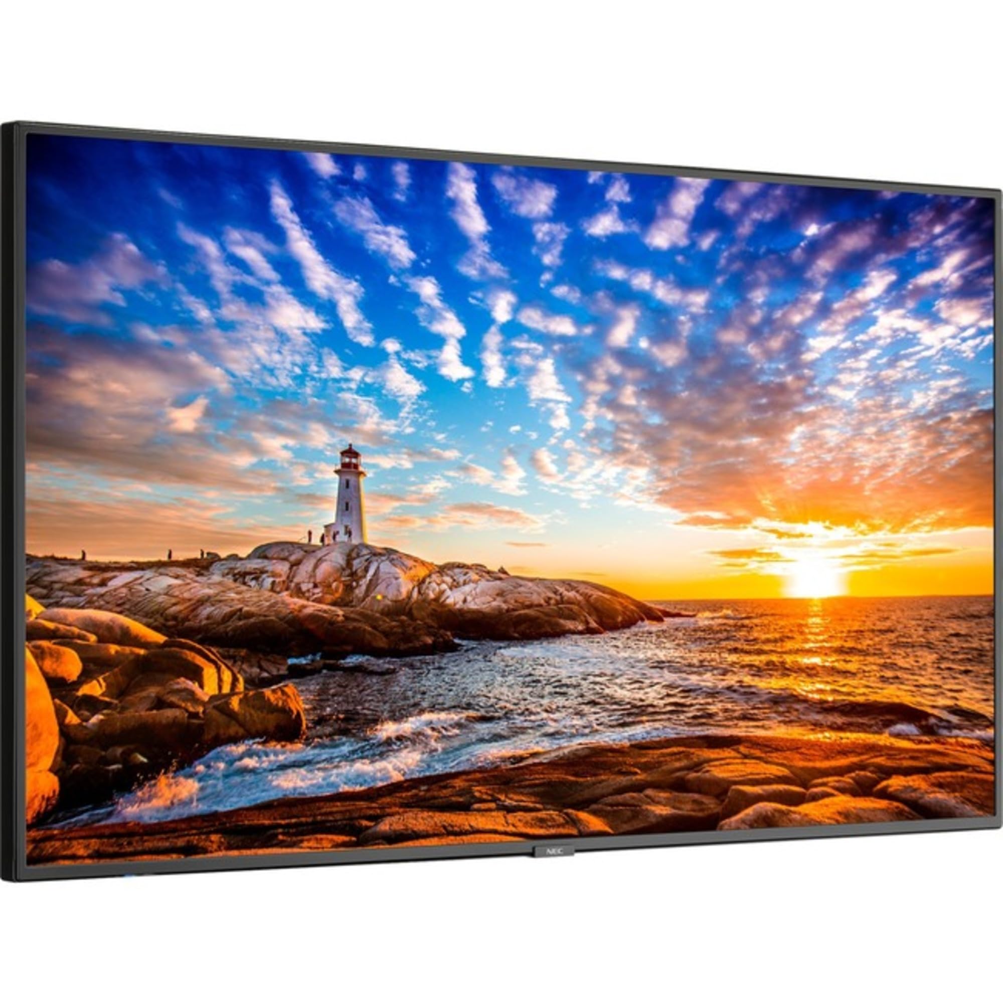 Amazon.com: NEC Sharp Display 55 Wide Color Gamut Ultra High