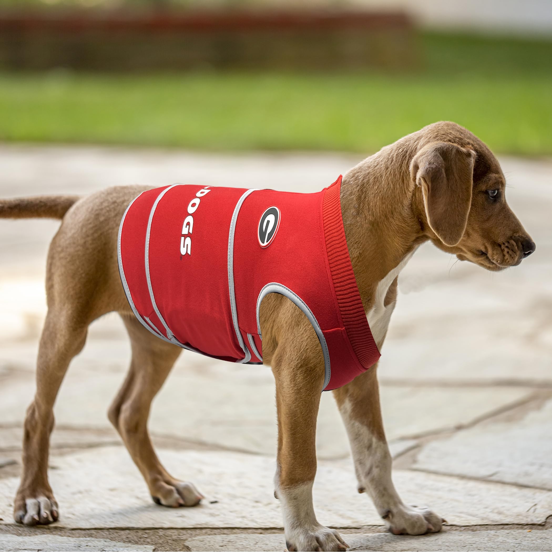 NCAA Georgia Bulldogs Dog Anxiety Calming Shirt Lenitivo Soluzione Vest, per cani/gatti con ansia, paure, fuochi d'artificio, rumori forti, scuro, solitario, mantiene i cani calmi e si sentono al
