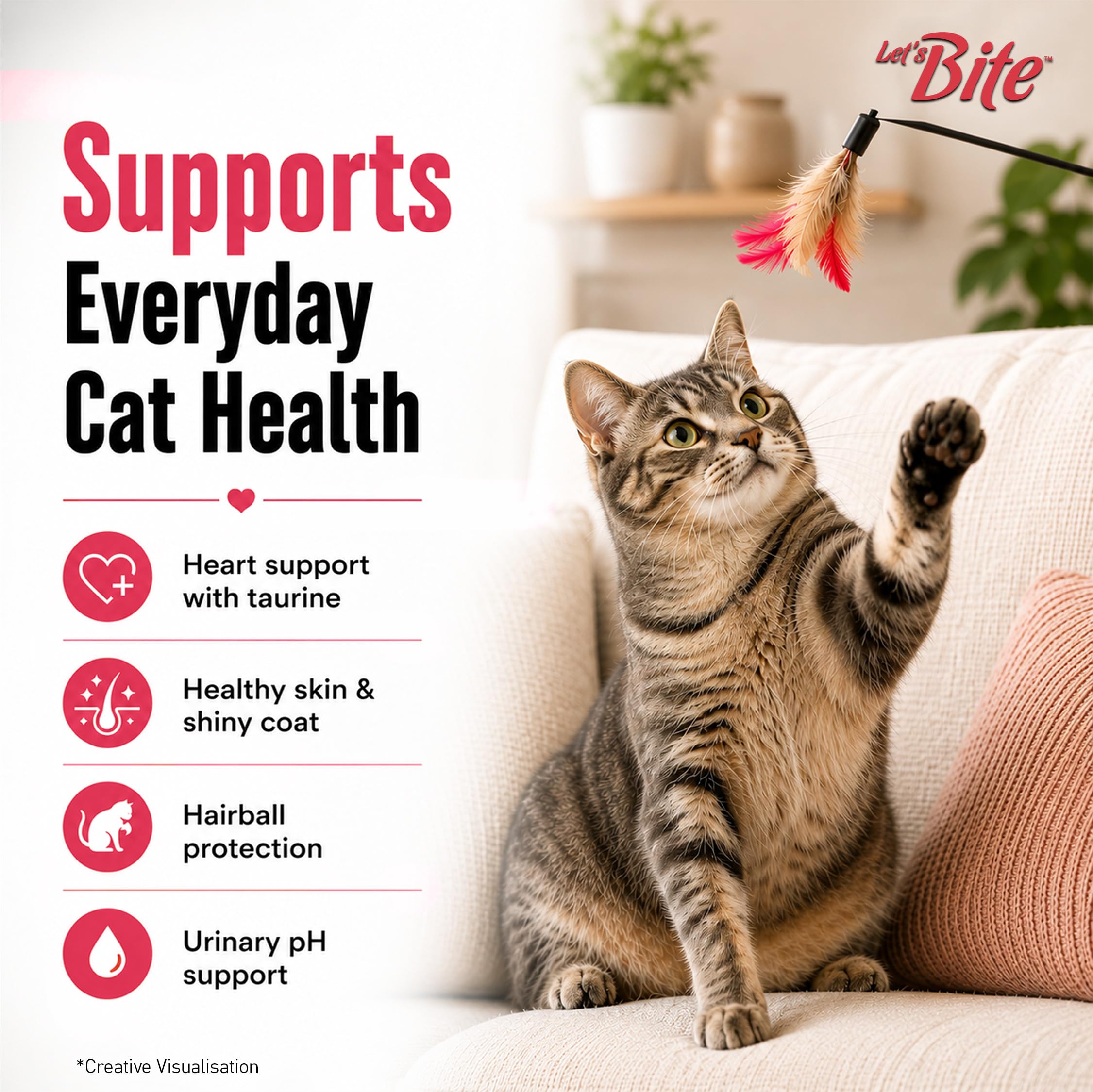 Let’s Bite Active Adult Dry Cat Food (1kg+ 1kg) Total 2kg | Ocean Fish | Taurine for Heart | Healthy Skin & Coat 2
