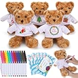 Blueweenly 20 Pcs Make Your Own Valentines Stuffed Bear Kit Including 9.84 Inches Velvet Animal White T Shirt 12 Colors Pens and Card DIY Stuffed Plush Valentine Gift for Crafts(Brown,Bear)