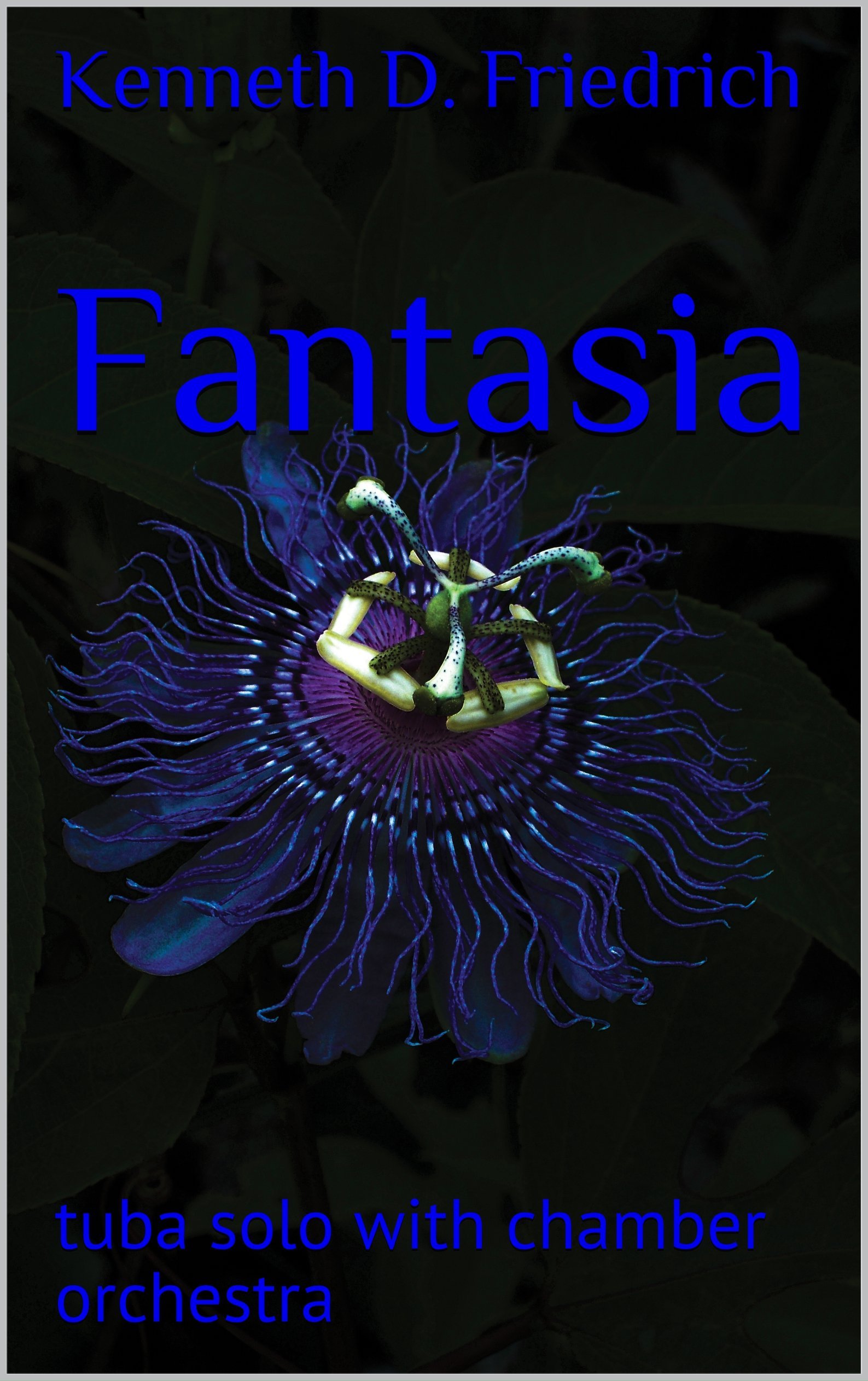 Fantasia: tuba solo with chamber orchestra (English Edition)