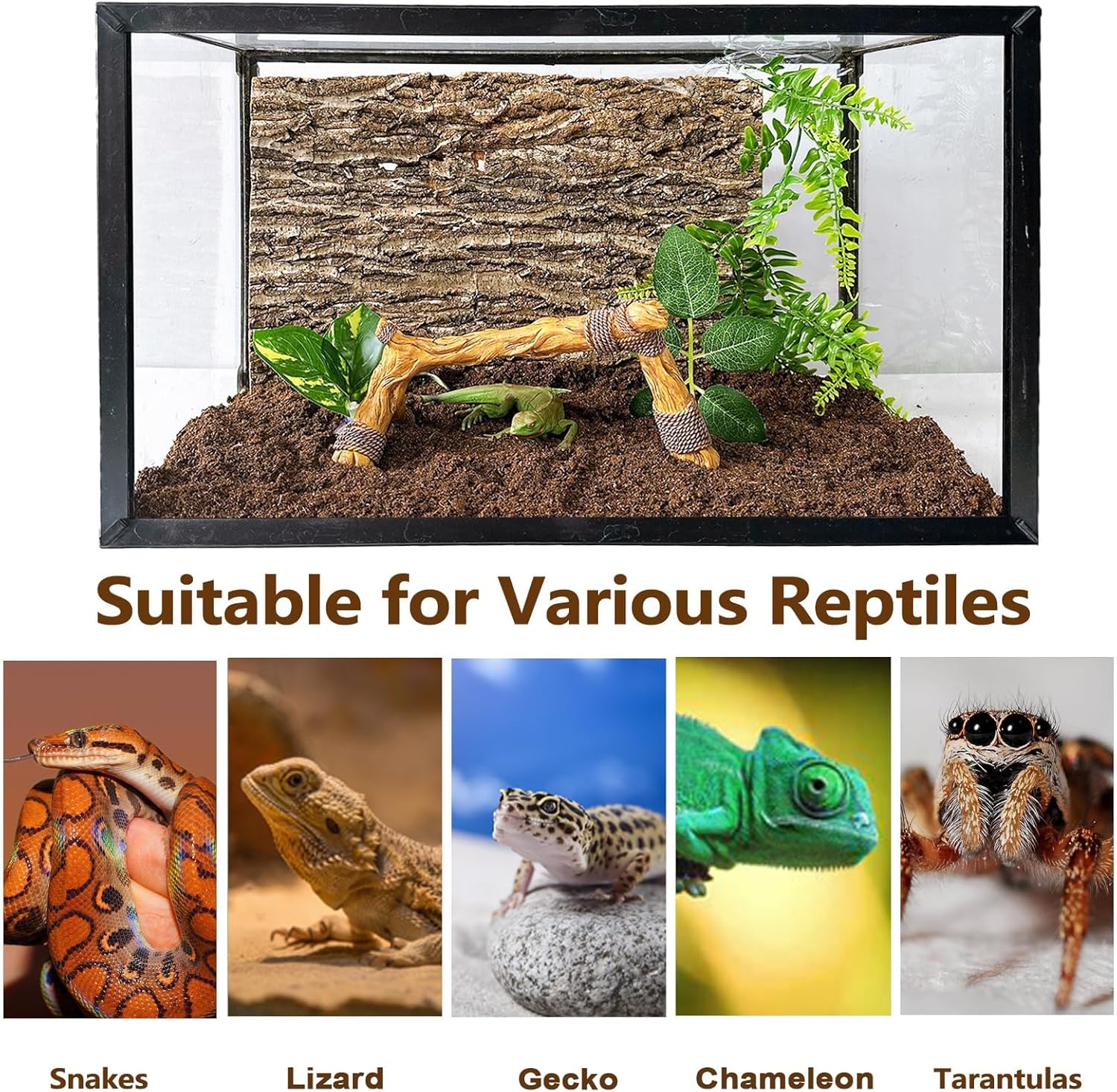 Tfwadmx Snake Climbing Branch,Resin Reptile Wood Trunk Branches Decor,Reptile Terrarium Climbing Accessories Decoration for Geckos, Lizards,Tarantulas,Hermit Crab,Frogs