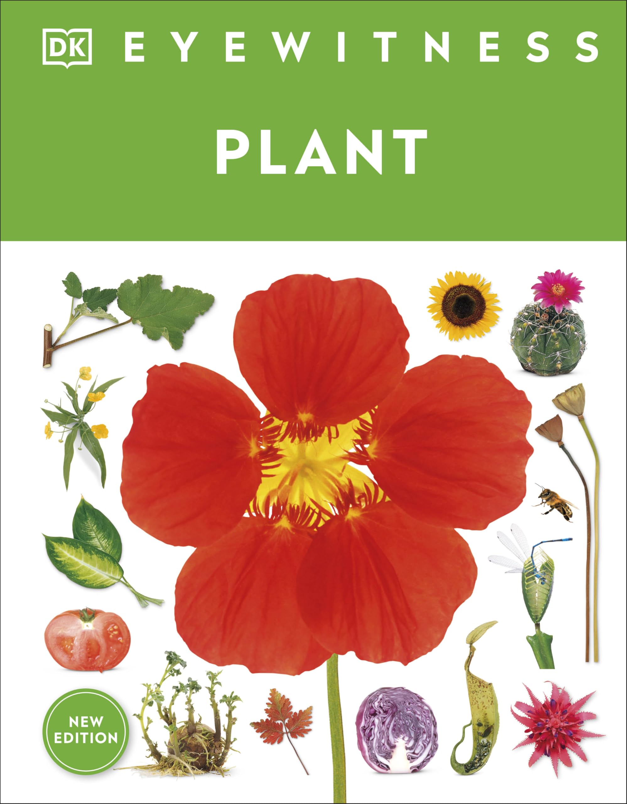 Eyewitness Plant (DK Eyewitness)