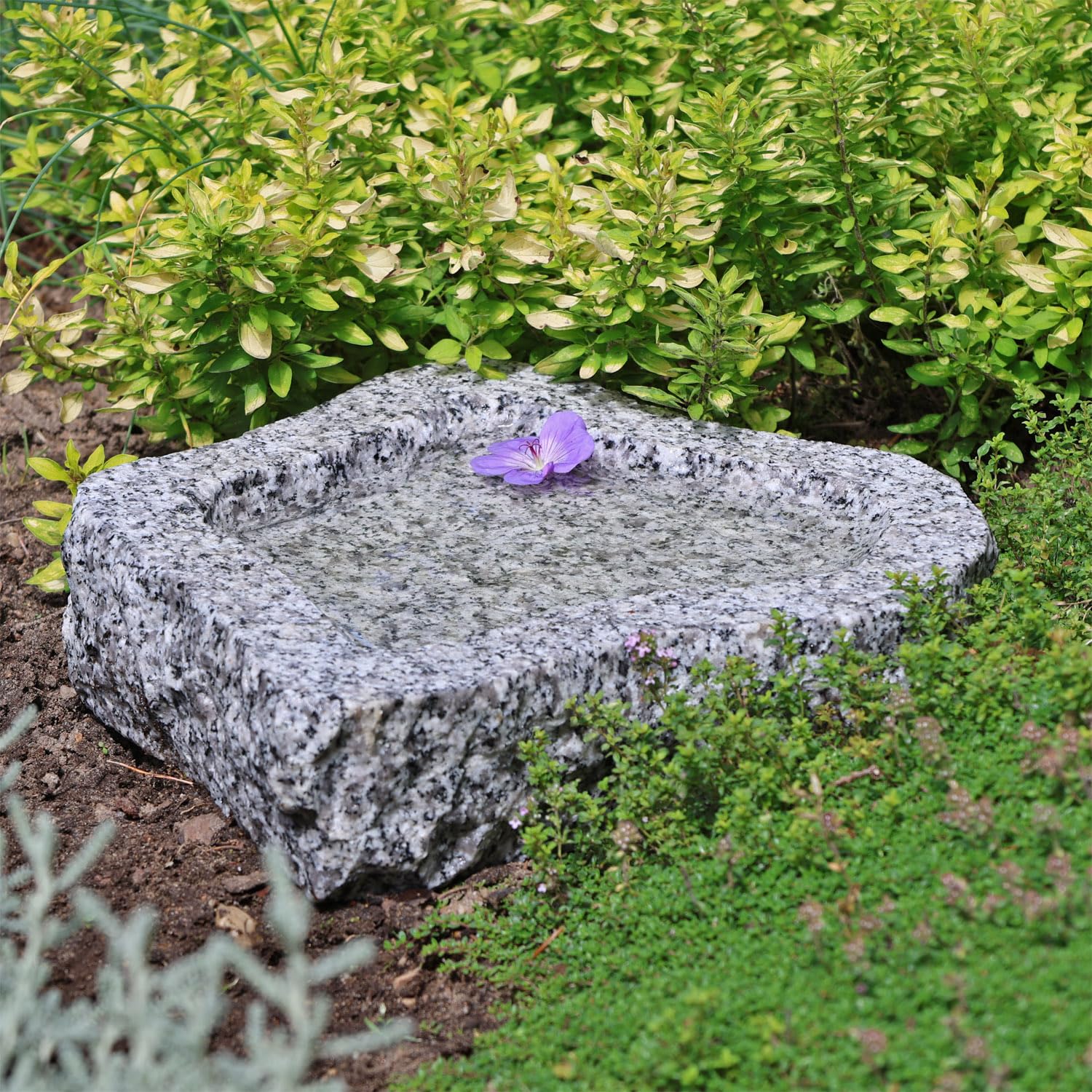 CLGarden Granit Vogeltränke frostsicher Vogelbad Naturform Winterfest Schale Tränke Natur Stein