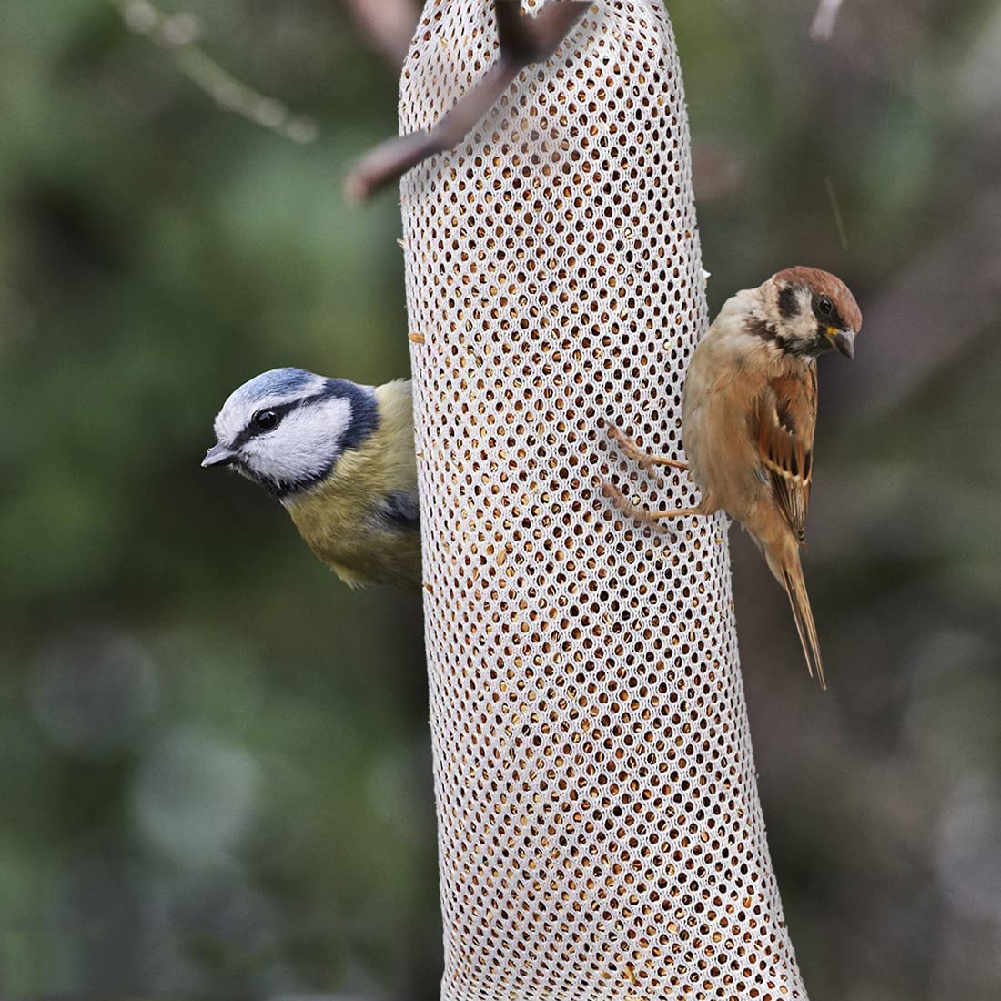 6 Mangiatoie Per Uccelli A Calzino | Rete Per Semi Di Cardo Per Fringuelli | Wild Bird Feeder Sock - Foto 5