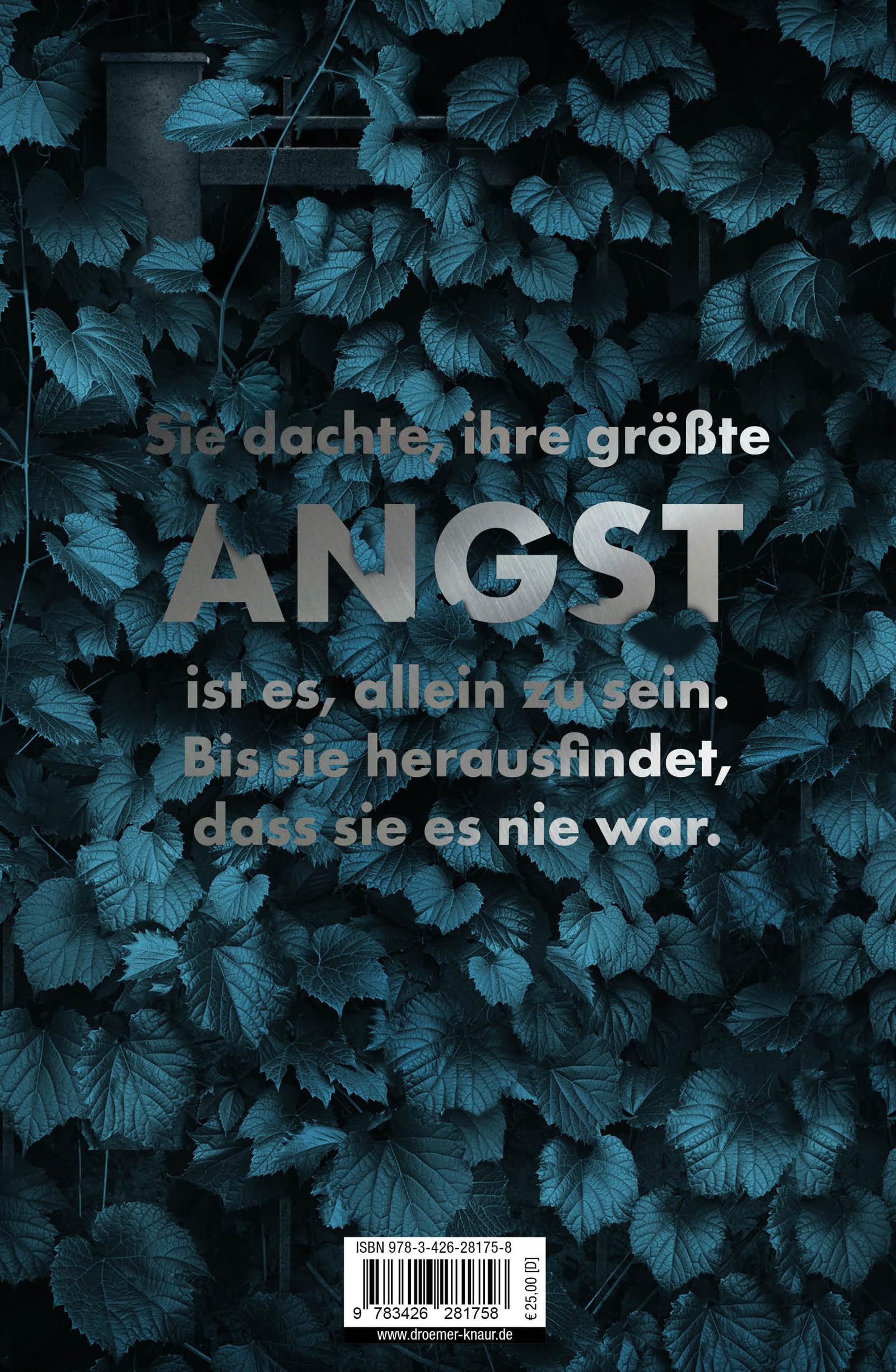 Der Nachbar: Psychothriller