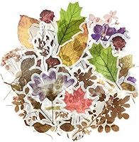 Vista 14 de allydrew Calcomanías decorativas para álbumes de recortes, Washi, manualidades para papelería, diario, fabricación de tarjetas (60 piezas)