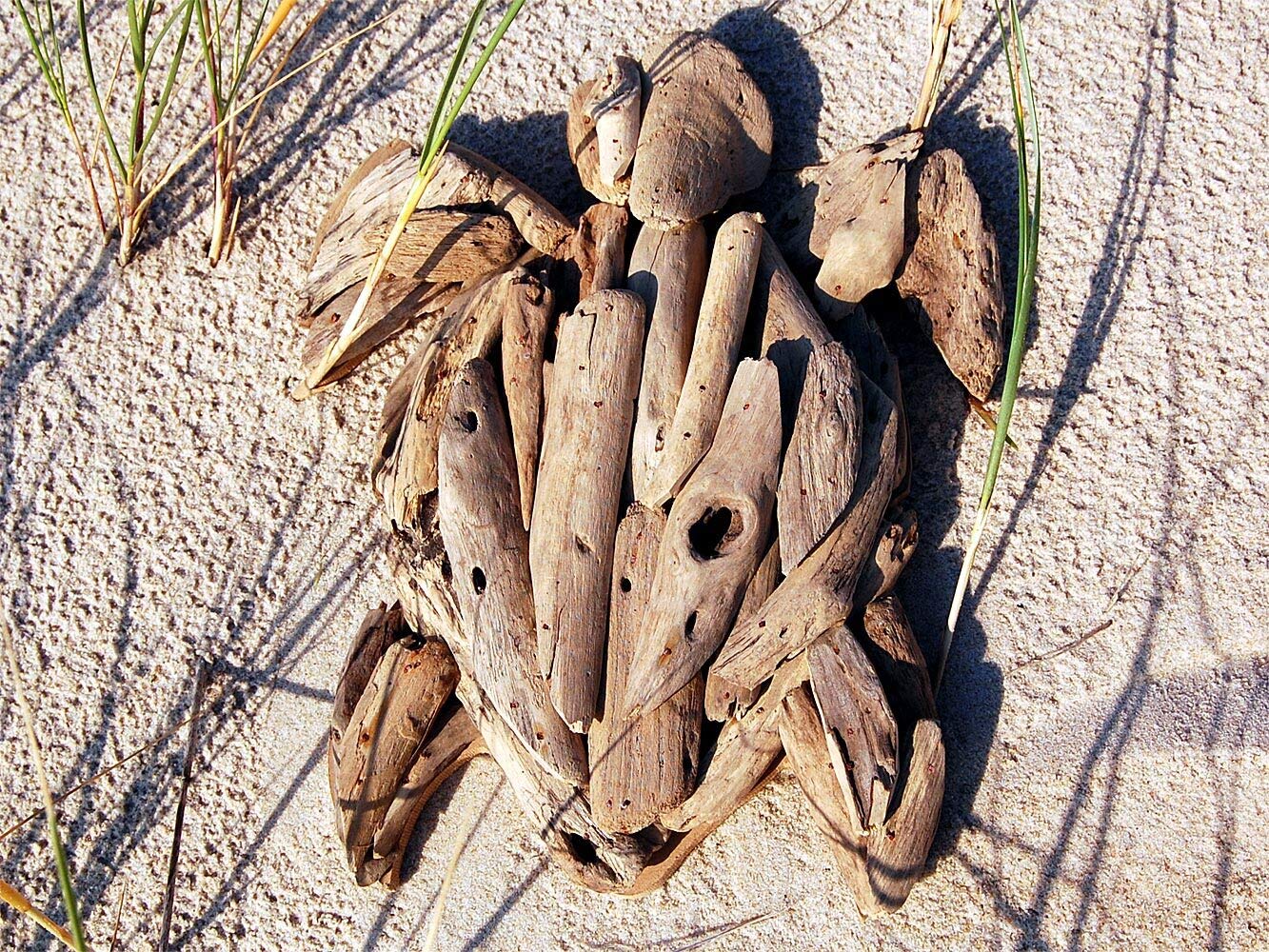 Seesstern 1327 Décoration Murale En Bois Flotté Avec étoile De Mer