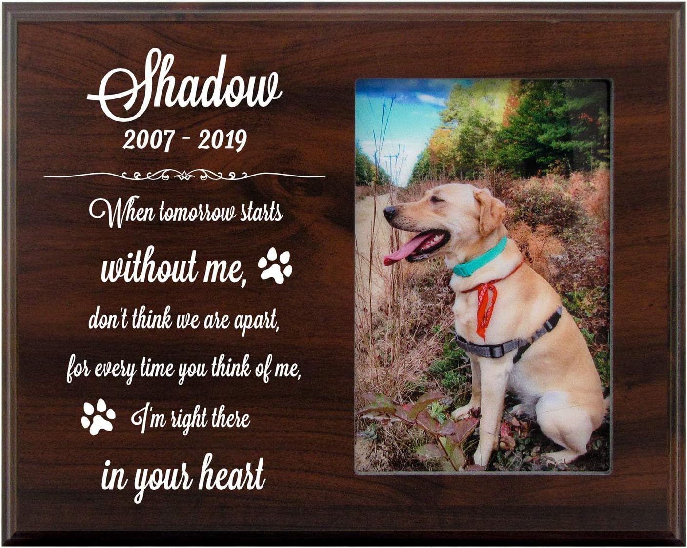 Mainely Urns 8x10 Photo Plaque - Pet Memorial Picture Frame - When Tomorrow Starts Without Me, Don't Think We are Apart - Sympathy Dog or Cat Bereavement Plaque with Heartfelt Quote