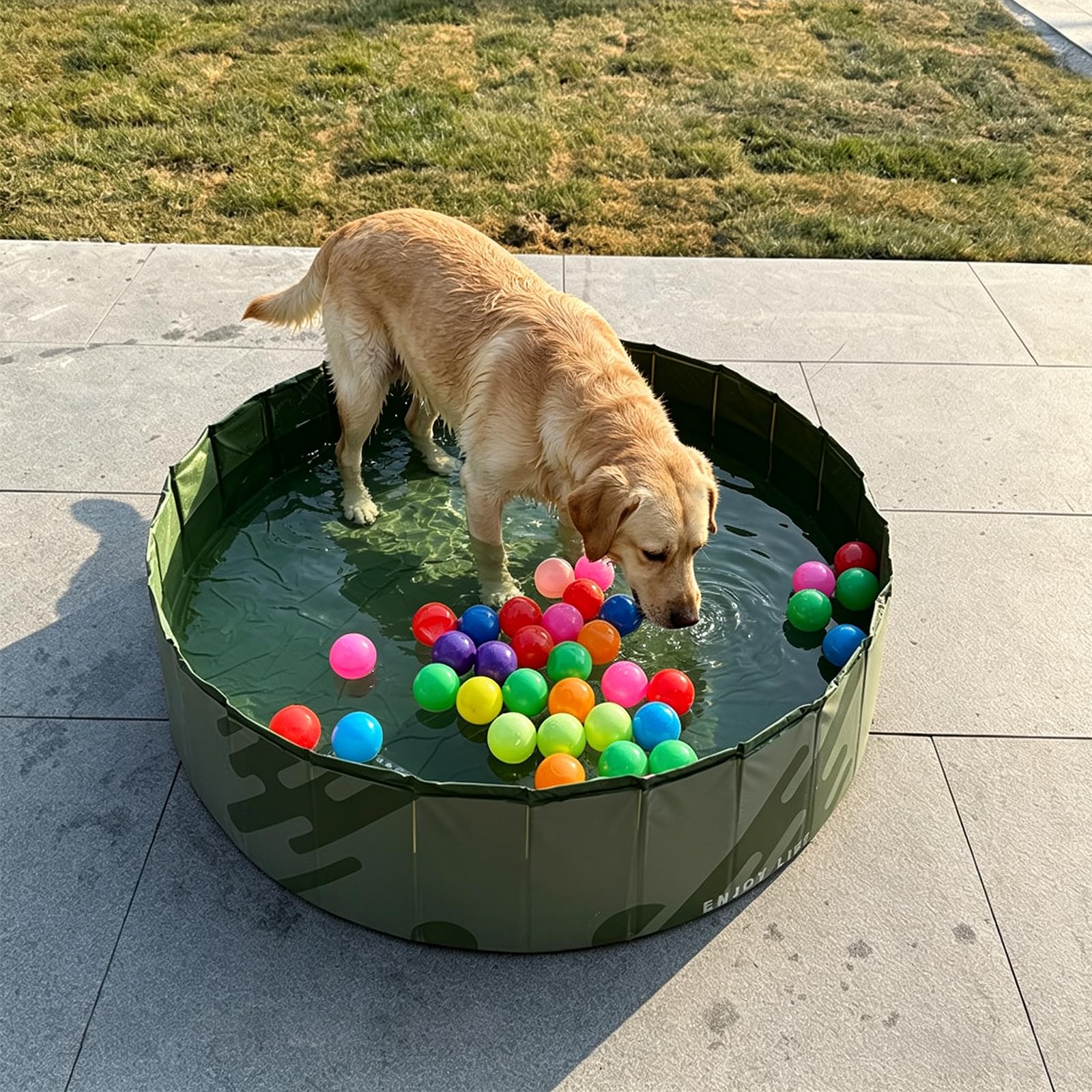 Piscine pliable pour chiens avec bonde Vert 120 x 30 cm | Pataugeoire portable pour chien - Piscine pour chien - Évacuation au sol - Antidérapante - Piscine pour chien - Piscine à