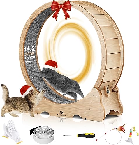 Rueda para gatos, 48 pulgadas XL grande para gatos, rueda para correr, caminadora para gatos de interior