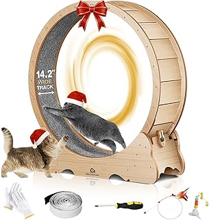 Hamster Wheel For Dogs Picks collage image 2