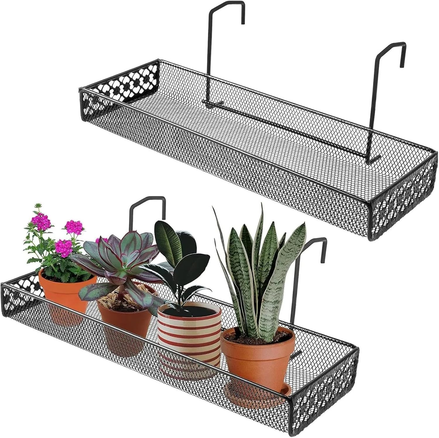 Mini Hanging Plant Shelf Iron Mesh Wall Mounted Rack for Succulents and Small Potted Plants for Office Home