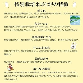 お米コシヒカリ 農薬（栽培期間中不使用）令和6年産 白米18kg 福岡県筑後市産 無農薬米 新潟産コシヒカリ 無洗米 5kg 令和6年産の新米【数量