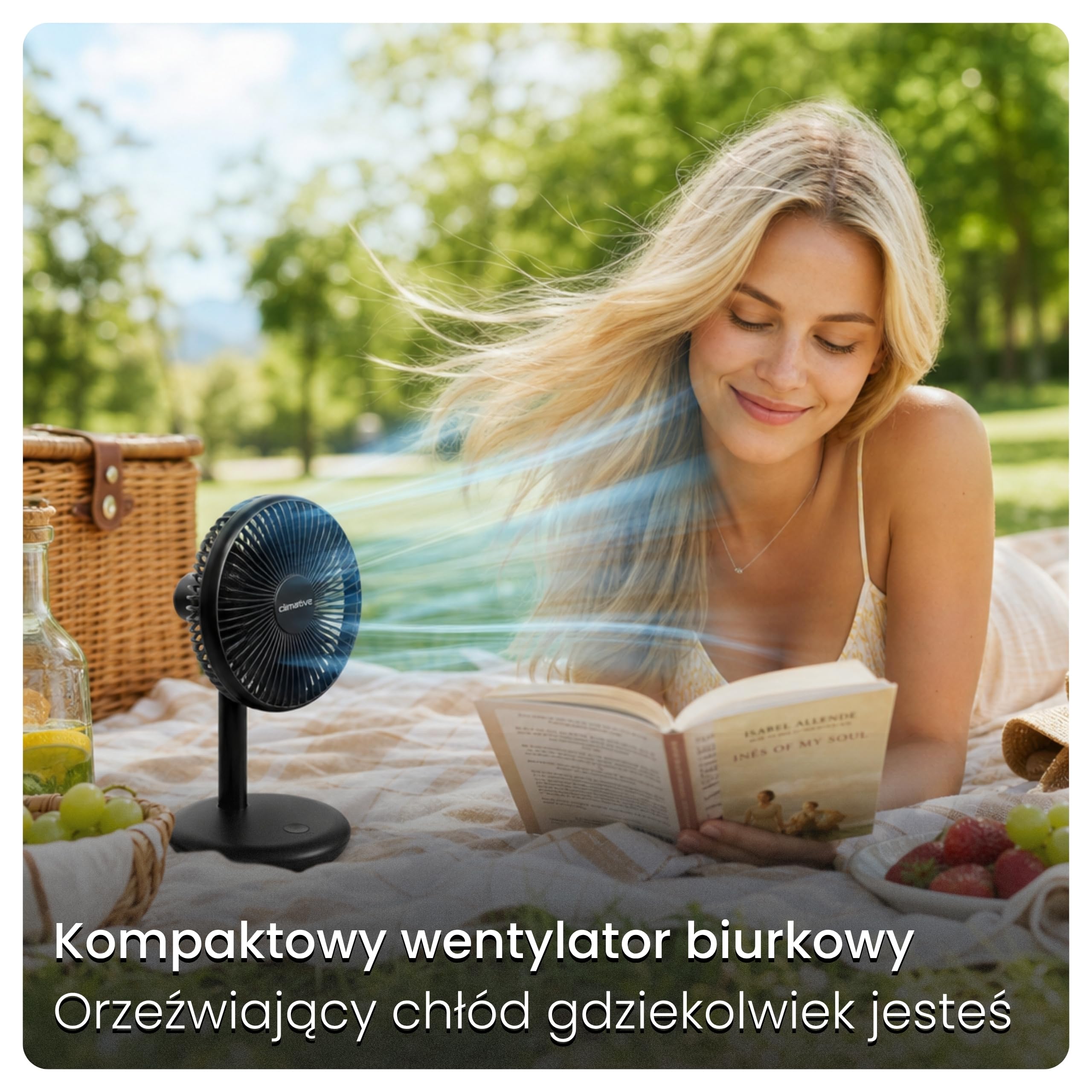 Cichy wentylator biurkowy - Wiatrak USB na akumulator 4000mAh, Ø 16,5cm, bezszczotkowy mini wentylator z 7 łopatkami CoolGo, 4 tryby, naturalny wiatr, 14h pracy, czarny