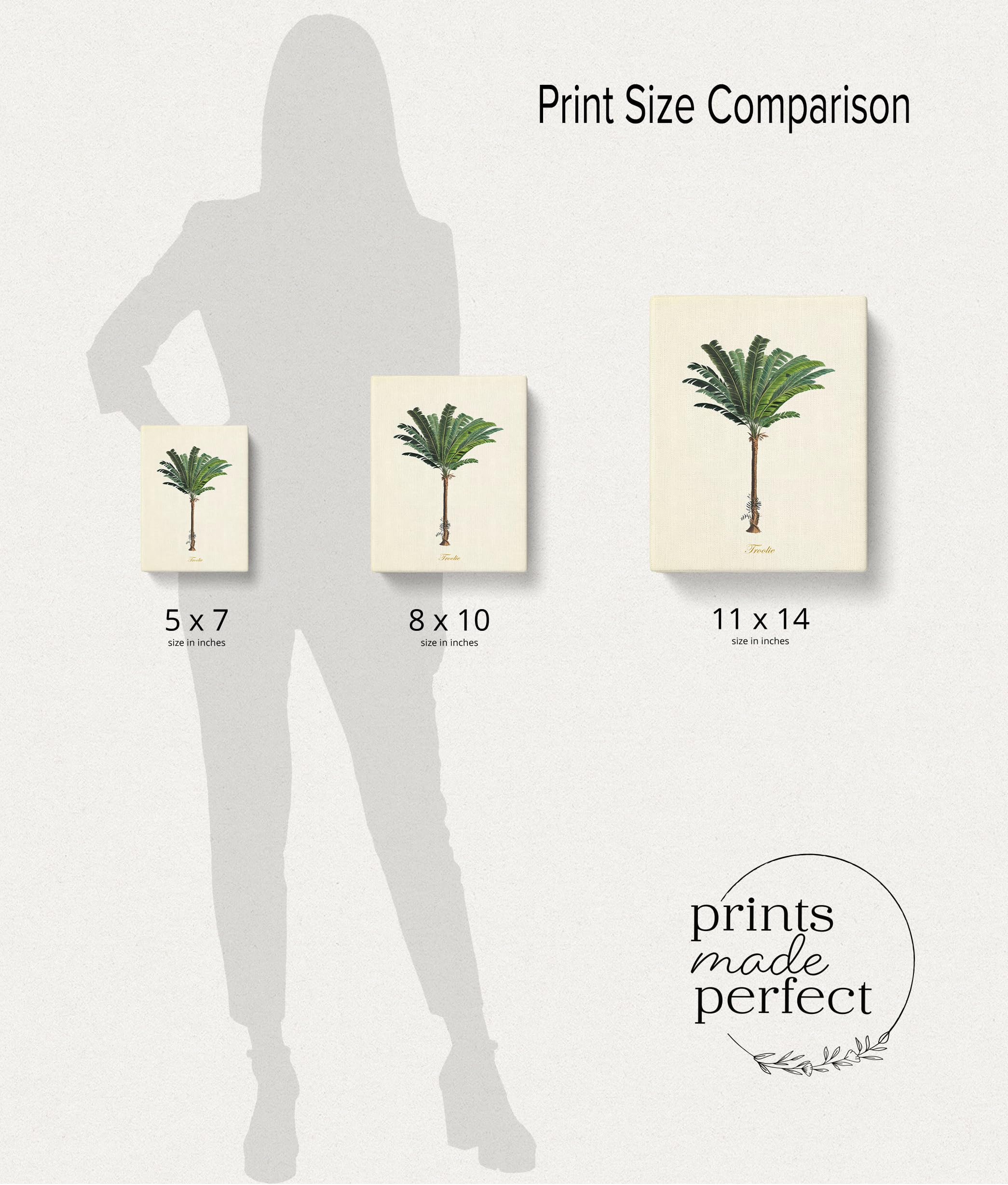 Amazon.com: Vintage Botanical Palm Tree Wall Art - Set of 9