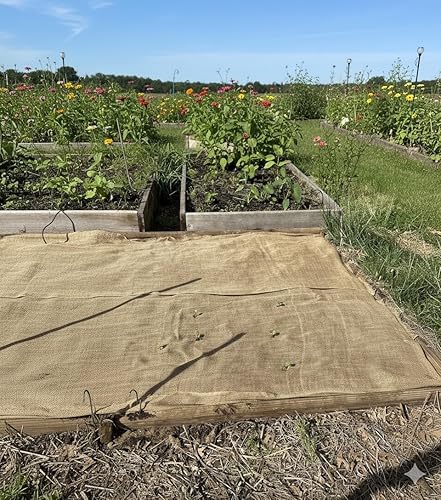 Miniatura 7 de Rollo de tela de arpillera de 40 pulgadas por 50 yardas de largo, tela de arpillera de peso medio que mide 40 pulgadas por 150 pies. Ideal para