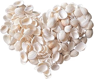 140Pcs Tiny Sea Shells - 0.8-1.2 inches Natural Small White Clam Shells for Crafts Bulk for Home Decor, Beach Theme Party, Fish Tank Vase Filler, Bracelet Making