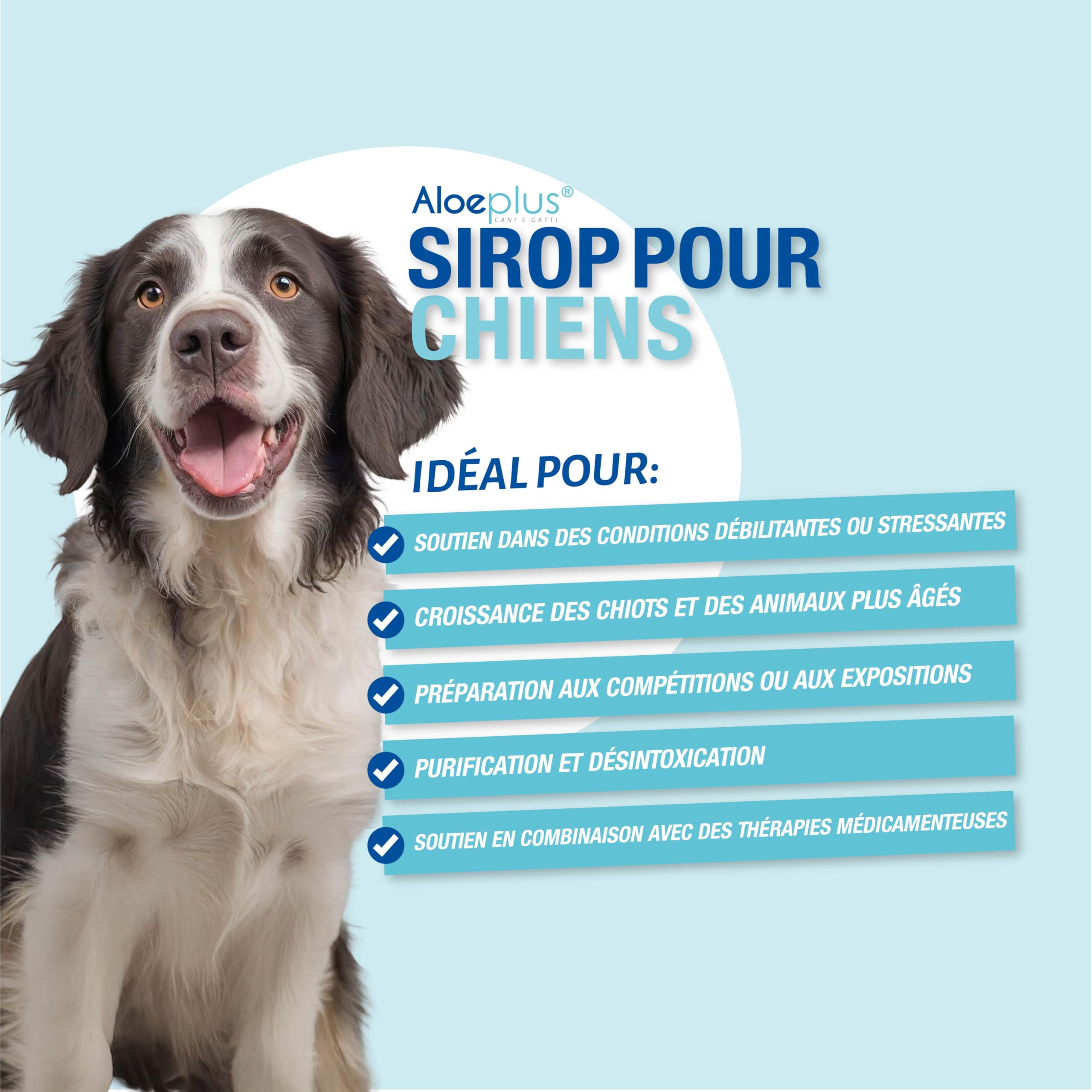 ALOEPLUS Chiens Sirop 150ml - Complément Alimentaire Énergétique et Détoxifiant à Base d'Aloe Arborescens Bio, Renforce Les Défenses Naturelles, Idéal comme Revitalisant pour Chiens Âgés et Chiots