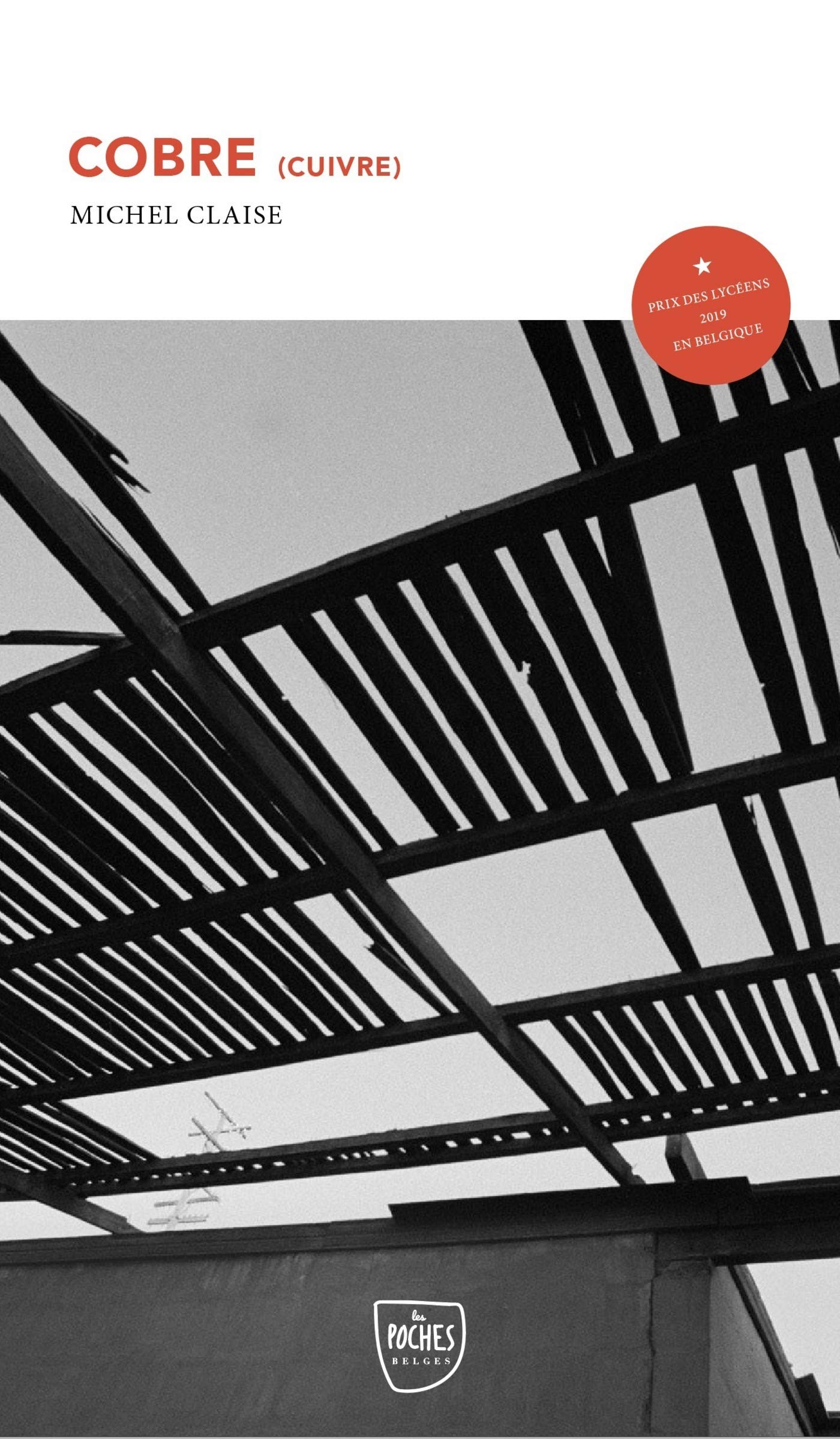 Cobre (cuivre) (French Edition)