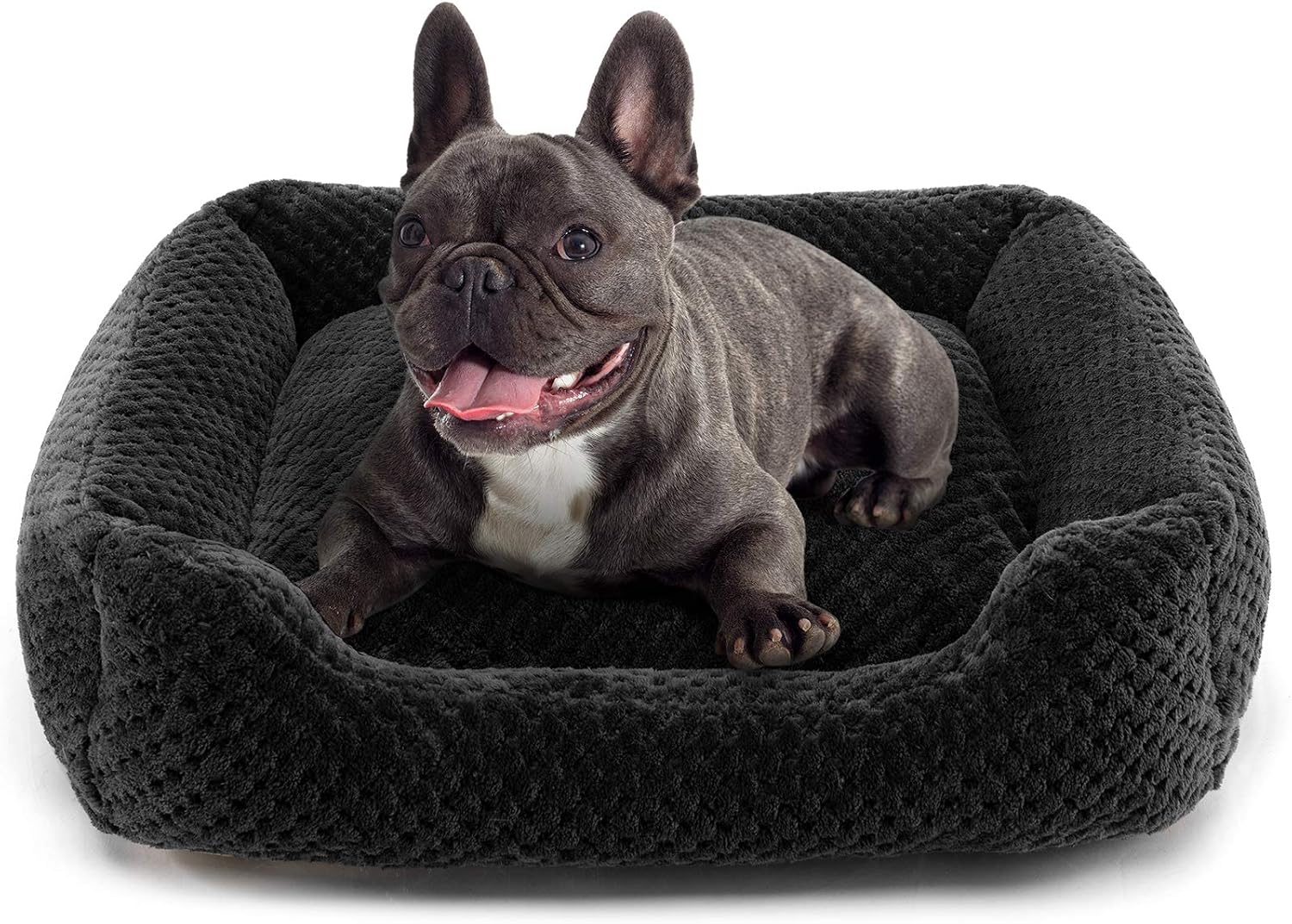 Hollypet Pet Bed, Self-Warming Bed for Cat and Small Medium-Sized Dog Puppy Rectangle Plush Sofa, Dark Gray