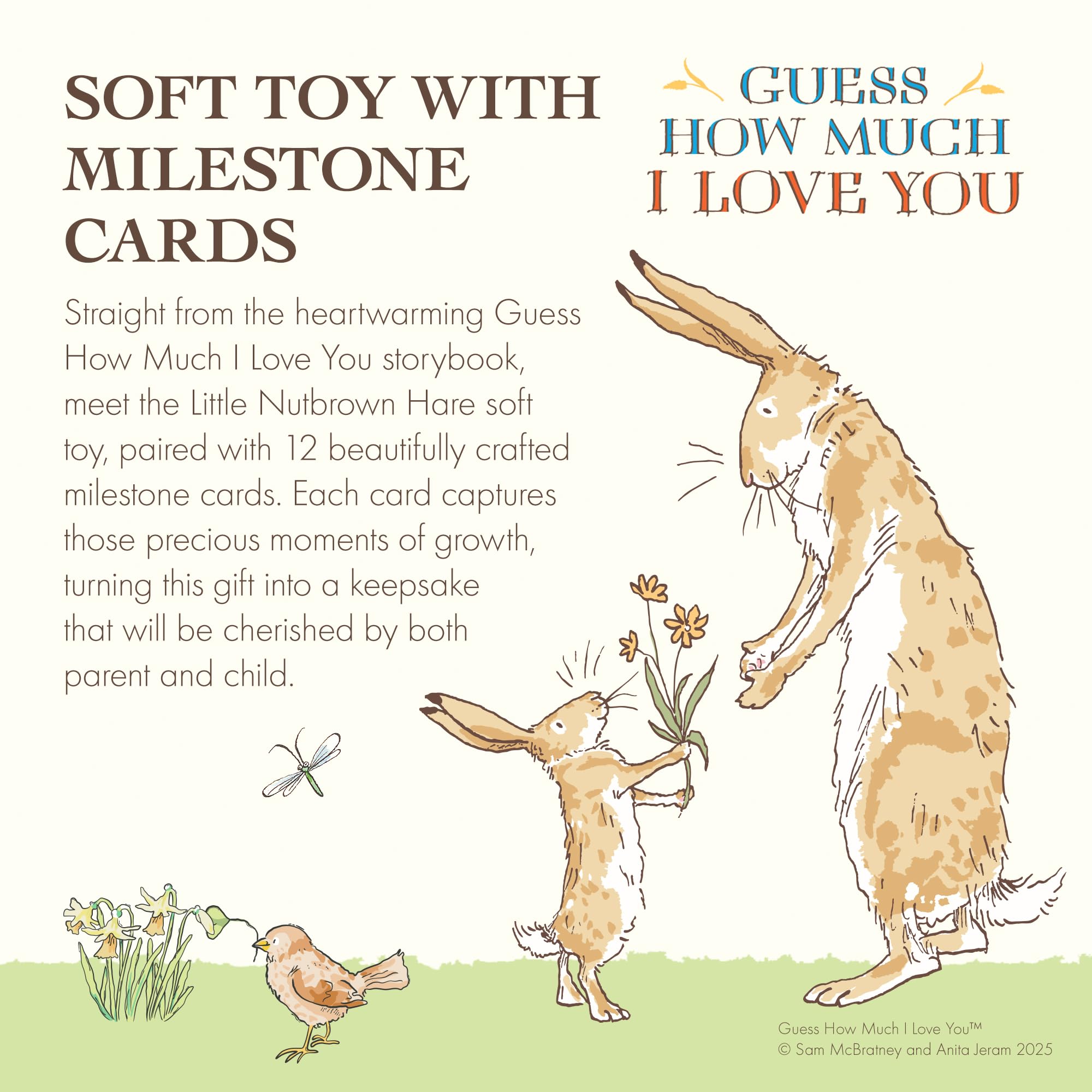 Rainbow Designs Guess How Much I Love You Little Nutbrown Hare Soft Toy & 12 Milestone Cards - Image 4