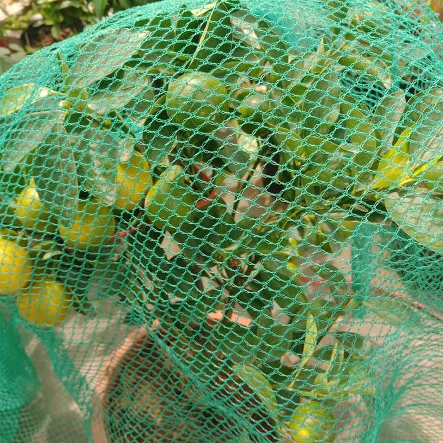 Reti verdi for uccelli Bacche Cespugli a traliccio for giardino Piante/alberi da frutto/verdure/animali Recinzioni in filo di nylon(10x10/33x33ft)