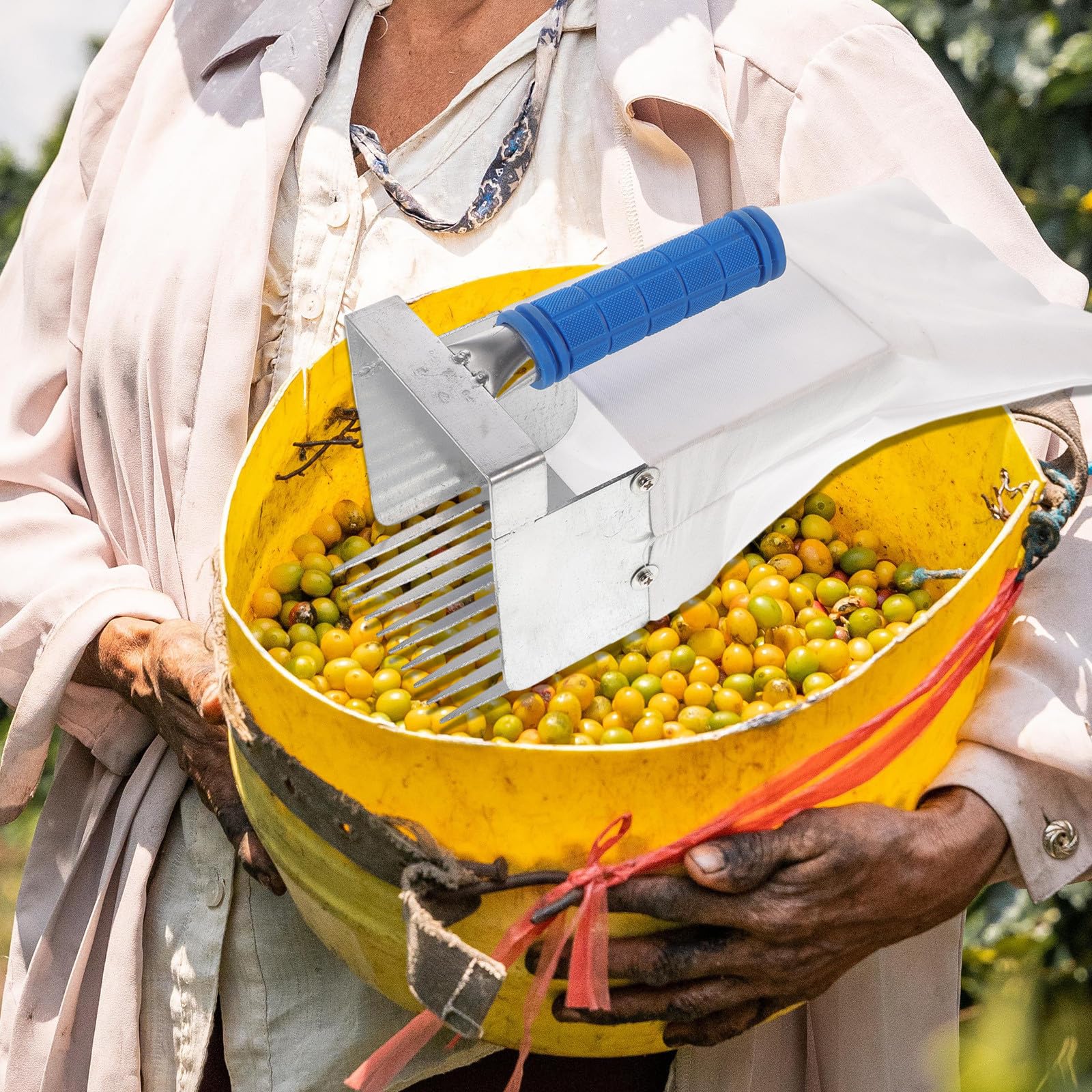 Alasum Pala para Recoger Arándanos Mango Ergonómico y Herramienta Dentada para Cosecha en Huertos Herramienta de Jardinería para Recolectores Color Aleatorio