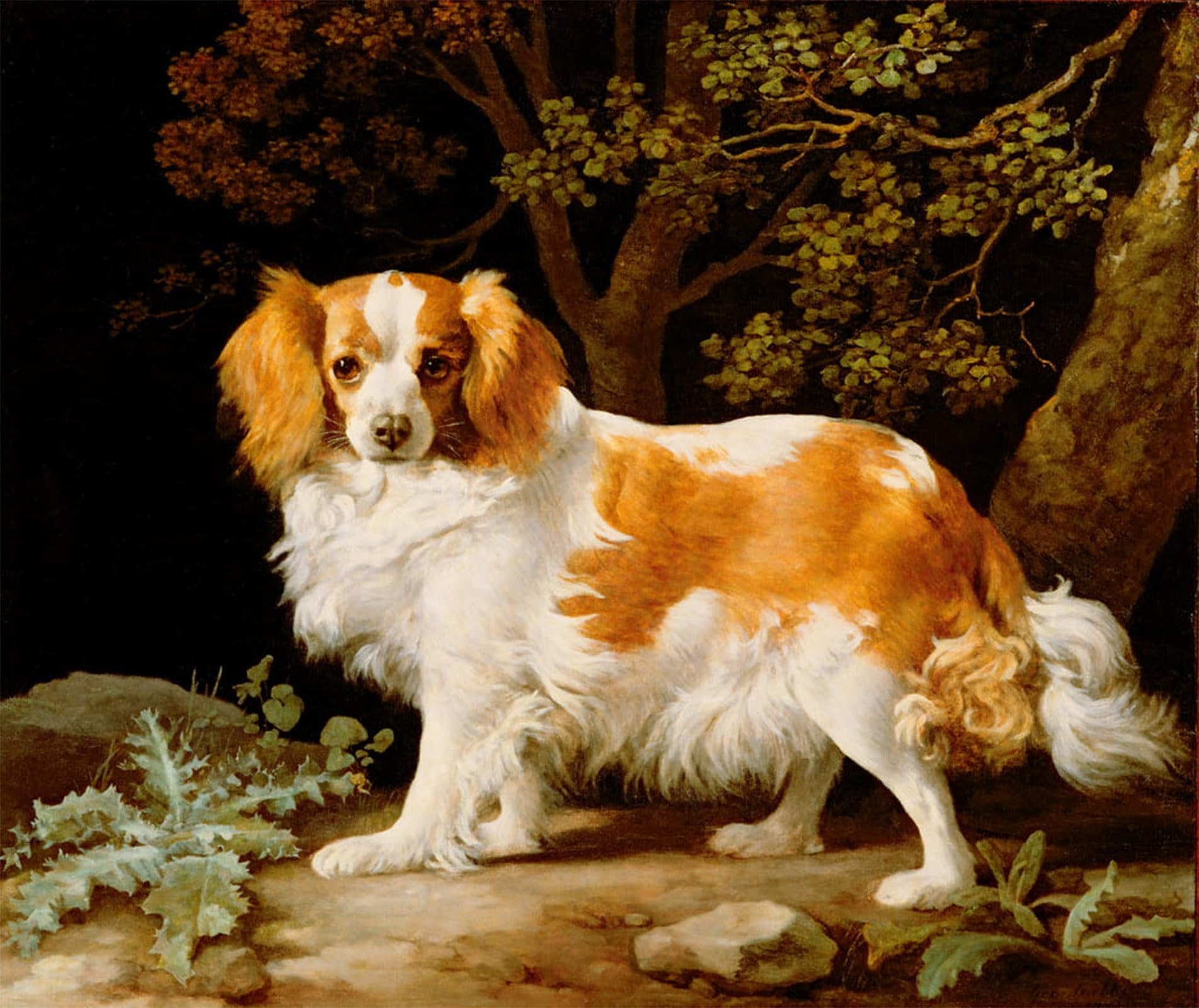 POSTERIIk Famous Modern Artwork Art Mural a Liver and White King Charles Spaniel in a Wooded Landscape by George Stubbs Oil Paintings Pictures for Home Decor 60x90cm