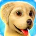 Dog Town: Pet Shop Game, Care & Play with Dog