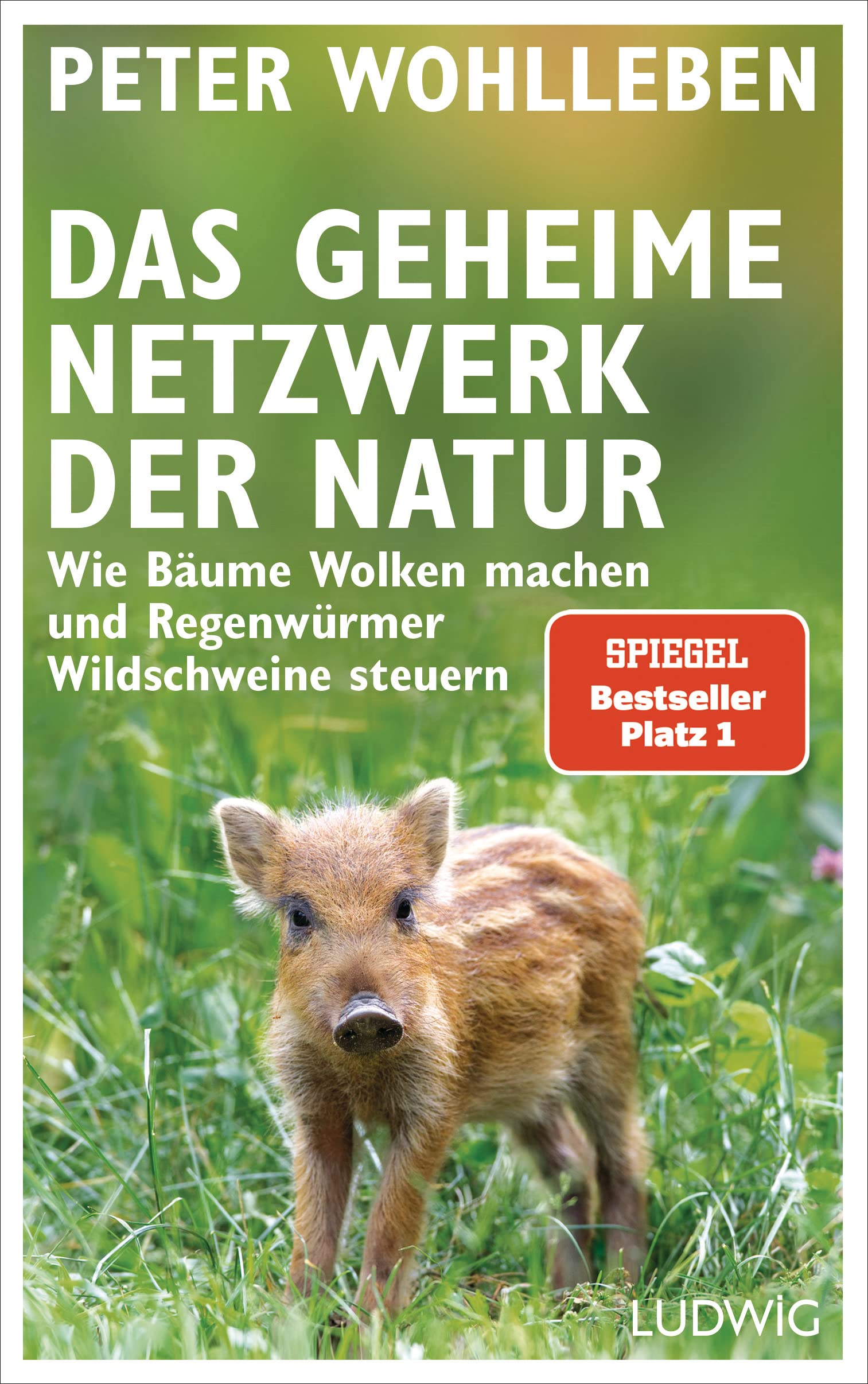 Das geheime Netzwerk der Natur: Wie Bäume Wolken machen und Regenwürmer Wildschweine steuern