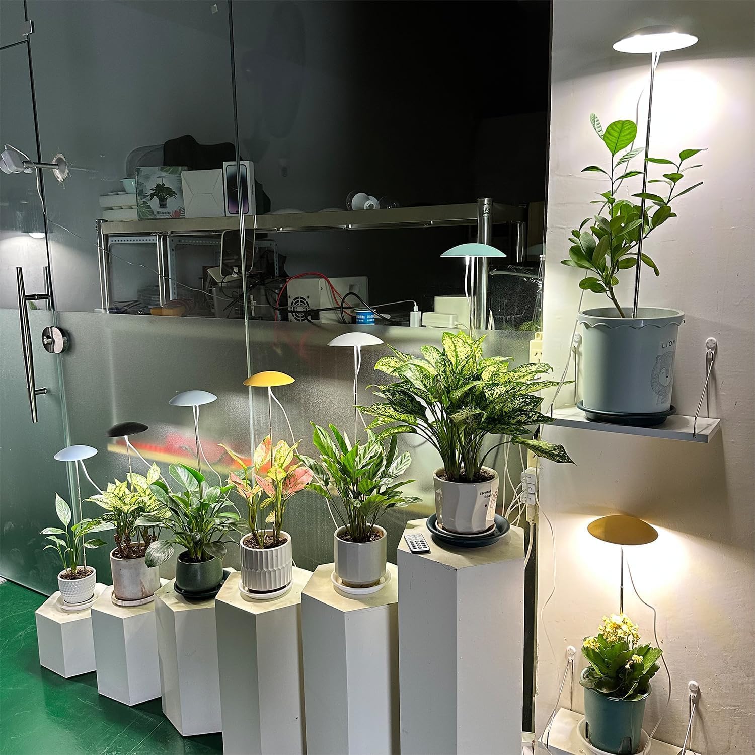 LED Grow Lights for Indoor Plants, Smart USB Small Full Spectrum Plant Lights with Remote, Height Adjustable, Auto On/Off Timer, Ideal for Home Decoration, Black