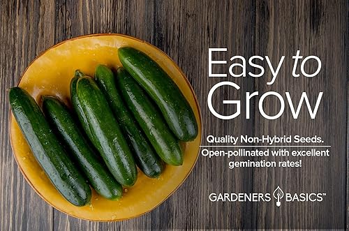 Miniatura 3 de Marketmore 76 - Semillas de pepino para plantar - Cucumis sativus Heirloom, variedad de vegetales sin OMG, semillas de 0.04 oz (1 gramo), ideales