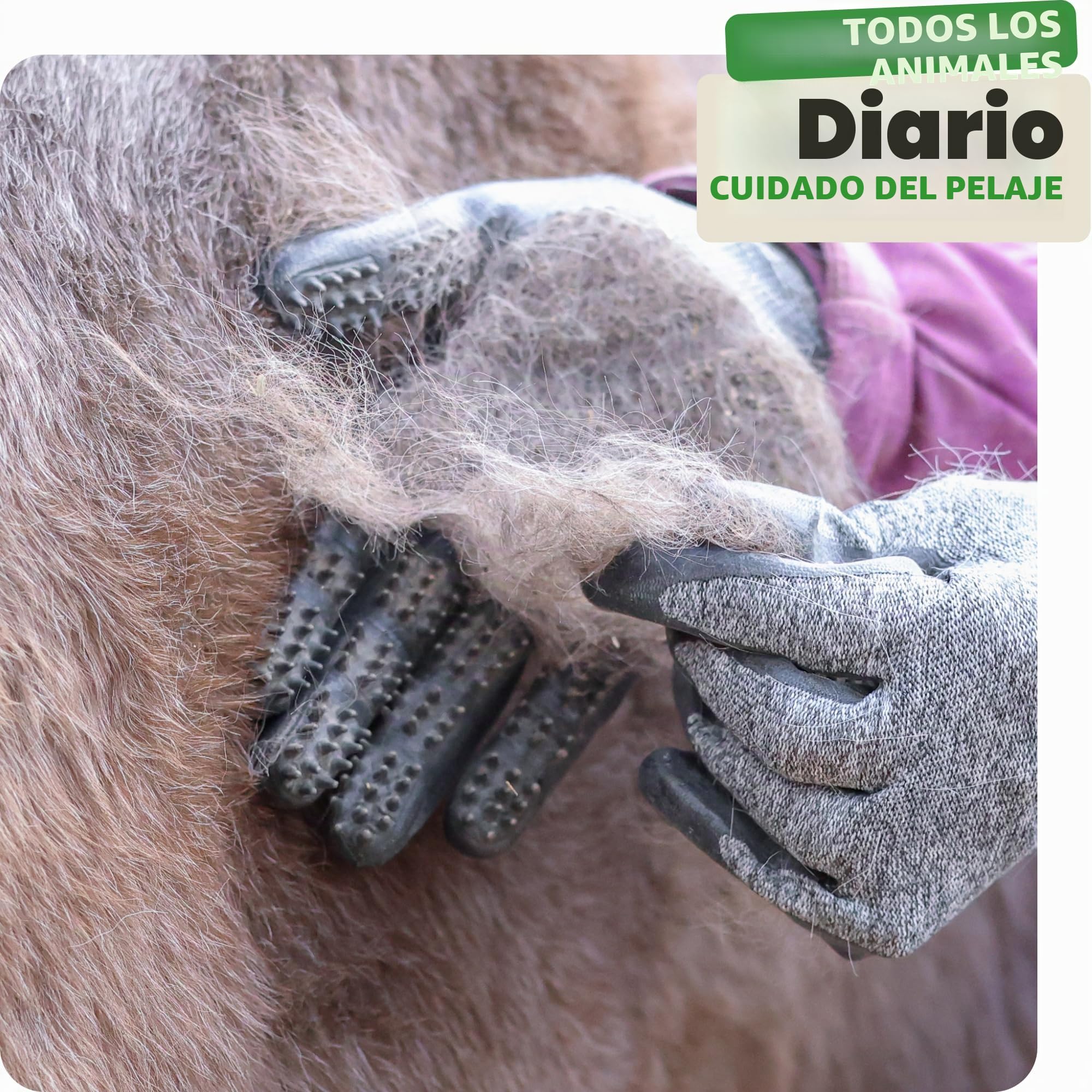 Guantes profesionales de aseo Dr. Zoo para cualquier mascota con pelo corto, mediano y largo; se pueden utilizar como cepillo de perro/gato/caballo o peine de curry; guante de aseo para eliminar el