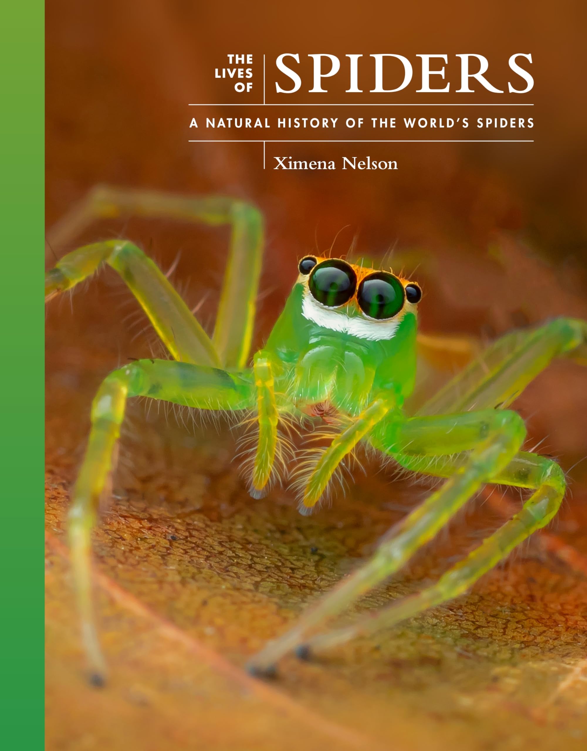 The Lives of Spiders: A Natural History of the World's Spiders: 11 (The ...