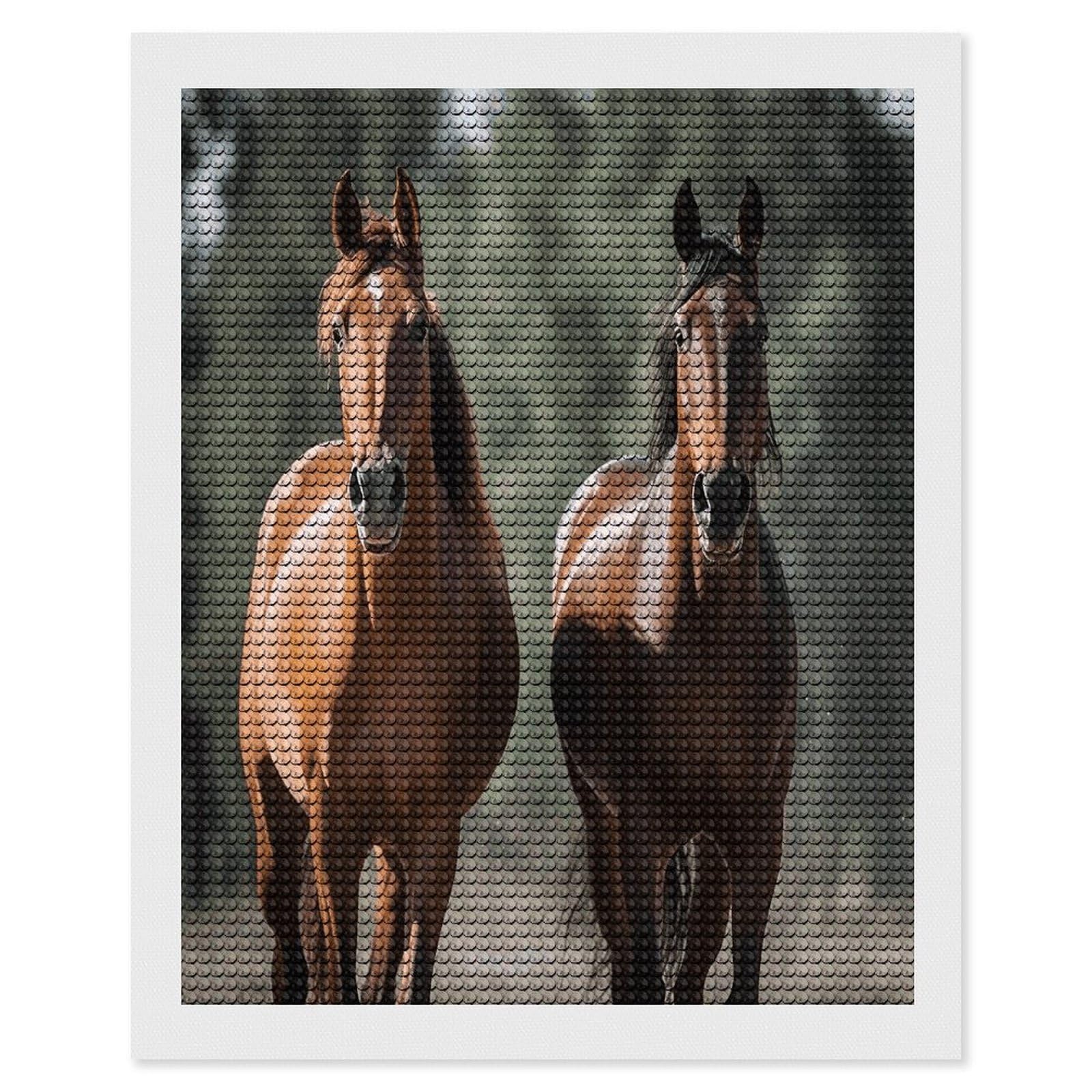 FekiLoot Animales Horses Diamond Art Kits for Adults Diamond Painting Kits for Beginners DIY Diamond Art Kits Round Full Drill Diamond Dot Gem Painting for Home Wall Decor Gift 16"x20"