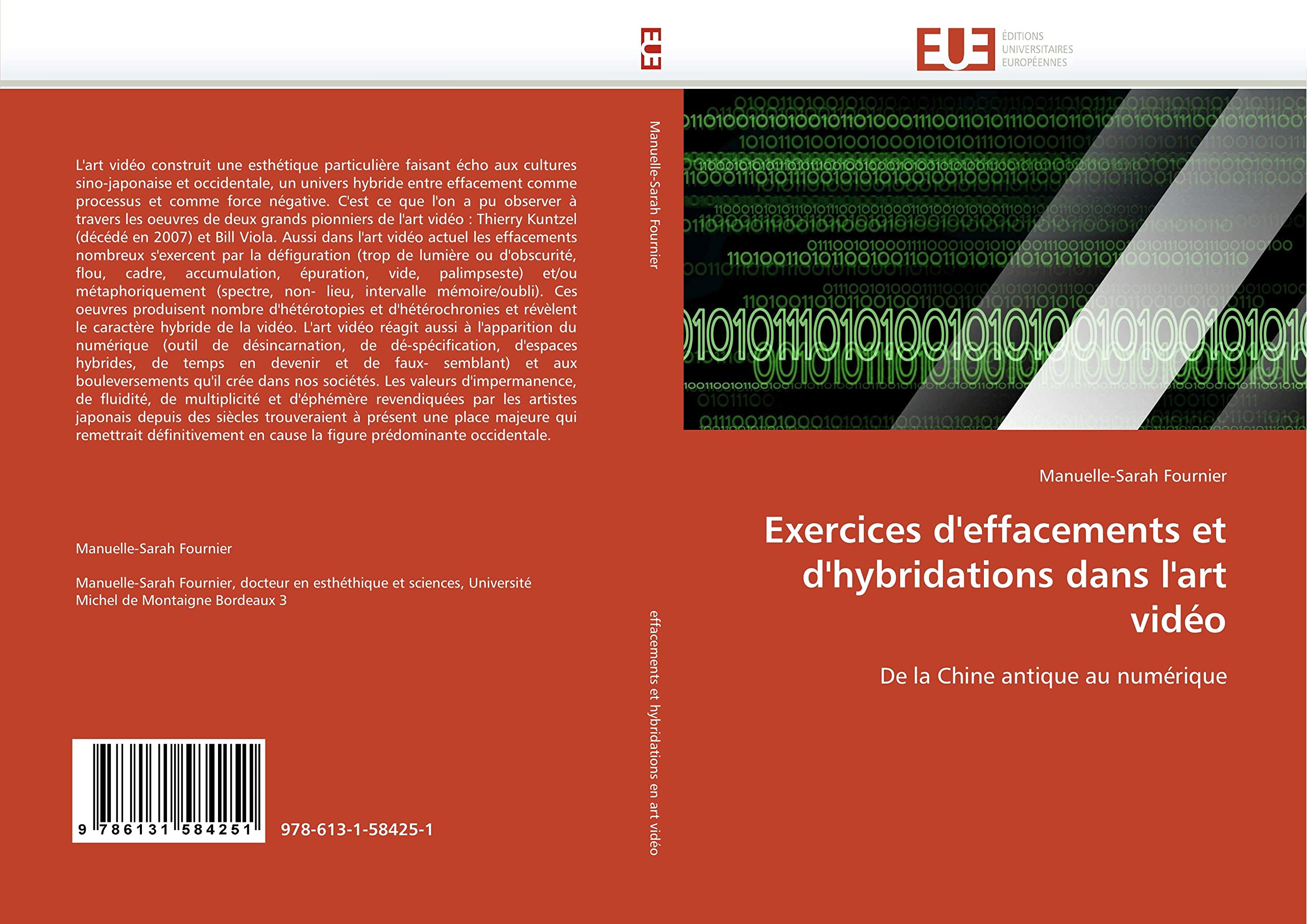 Exercices d'effacements et d'hybridations art vidéo pour comprendre l'image numérique