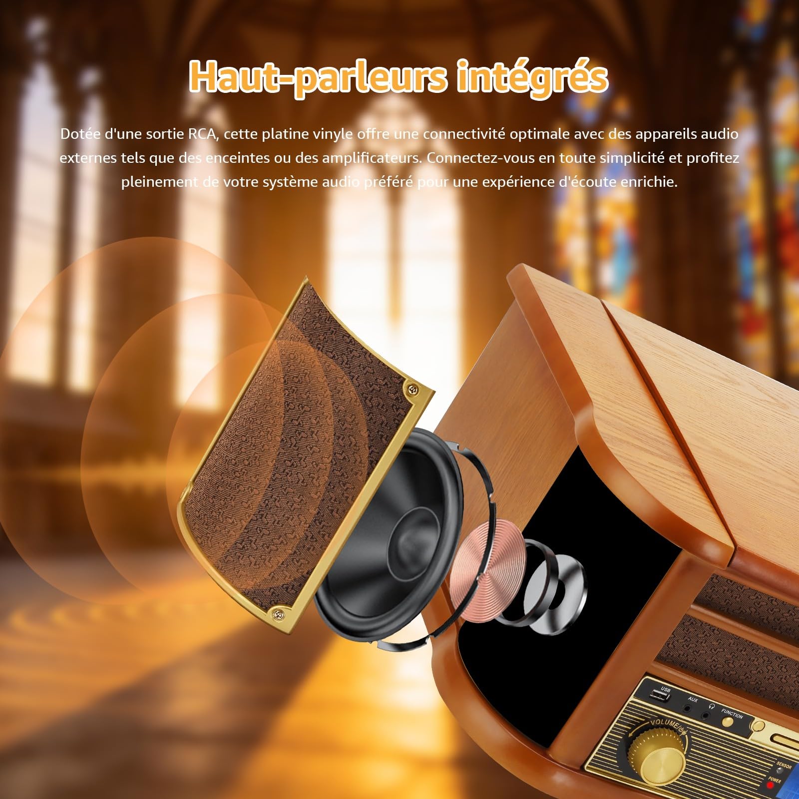 Platine Vinyle 9 en 1 avec Bluetooth, Radio AM/FM, Lecteur CD et Cassette, Lecture USB, Télécommande, Haut Parleurs Intégrés, Tourne Disque Vintage