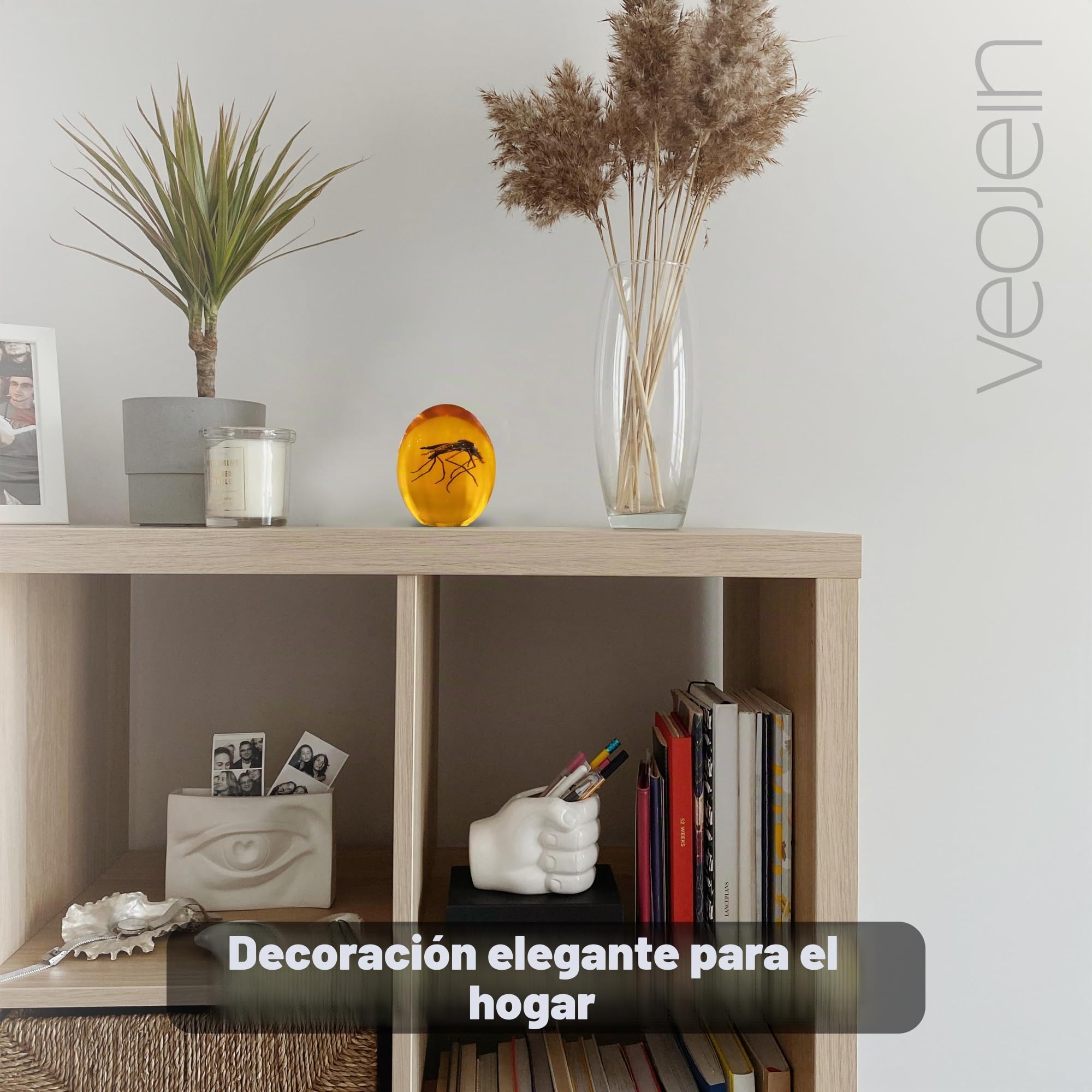 VEOJEIN Mosquito jurásico en ámbar | Insecto 2D detallado Recubierto de Resina Duradera coleccionistas y entusiastas | Pisapapeles, Efecto Envejecido, Adorno de Escritorio
