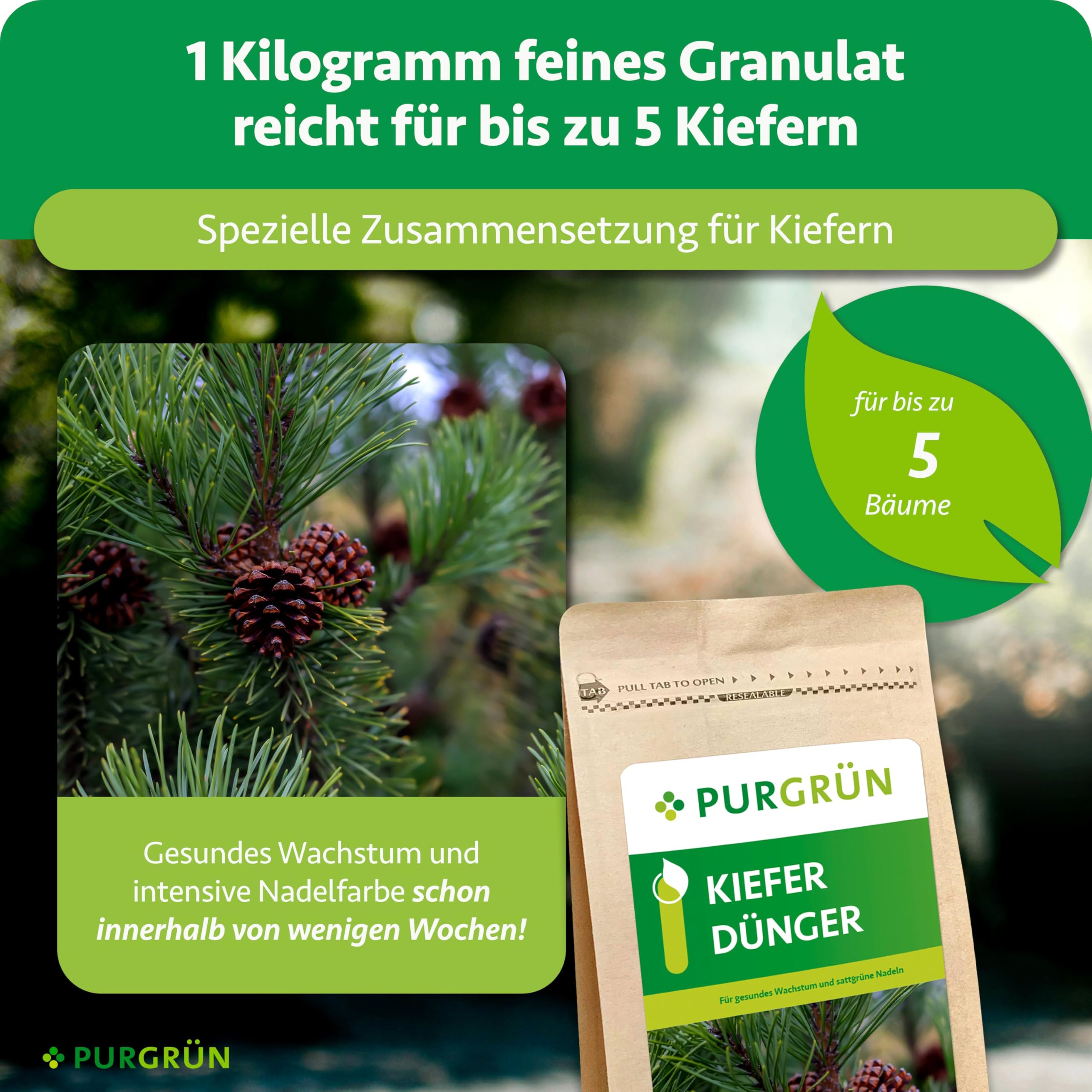 Kiefer-Dünger 1 kg – Extra Magnesium für schützt vor Nadelverfärbungen – Verbessert die Bodenqualität mit Tonmineralien – Erhöht die Widerstandskraft – Granulat für 5-6 Kiefern – chloridarm