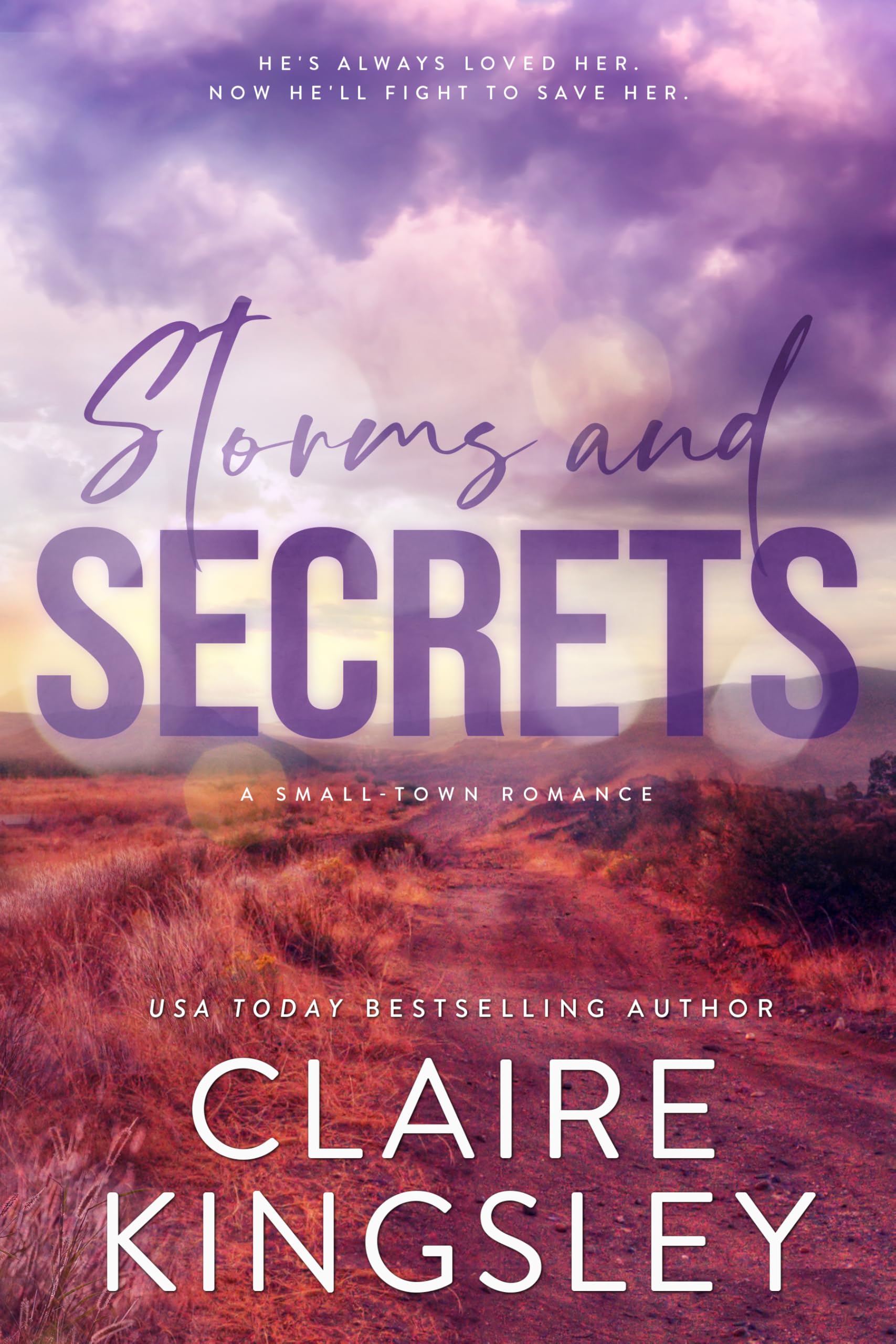 Storms and Secrets: A Small-Town Romance (The Haven Brothers Book 2)