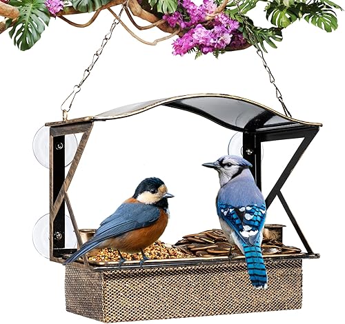 Comedero para pájaros de ventana, comedero de pájaros de metal a prueba de golpes con 4 ventosas fuertes mejoradas, bandeja extraíble 2 en 1,