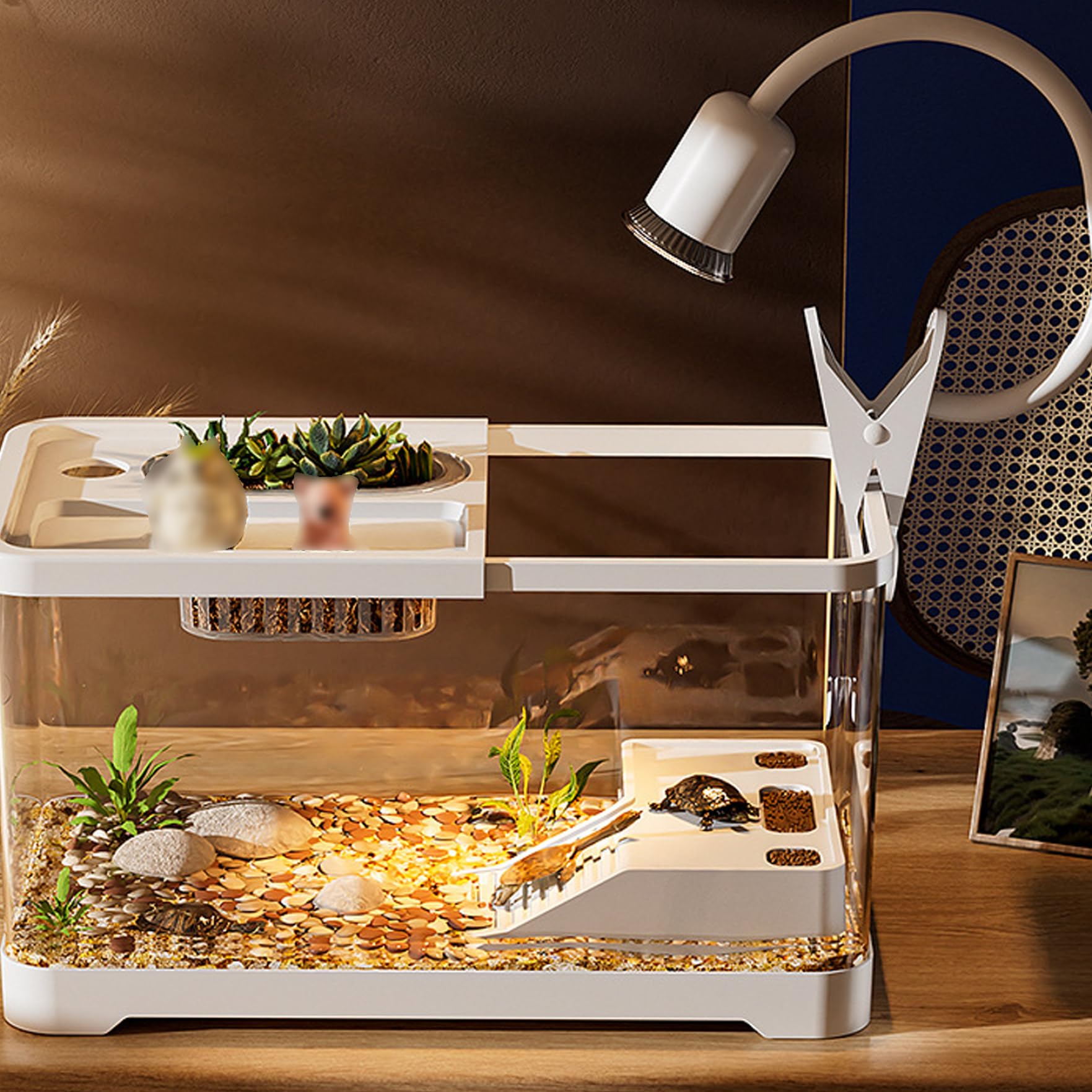 Acuario de Tortugas, pecera de plástico Transparente de 15 x 8 x 8 Pulgadas, Kit de hábitat para Tanque de Tortugas con Plataformas de Escalada y luz para y Animales acuáticos