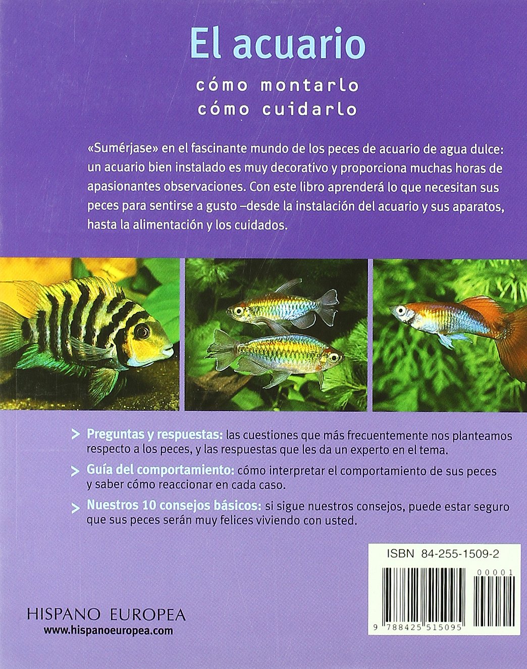 El acuario sencillo y fascinante / The simple and fascinating aquarium